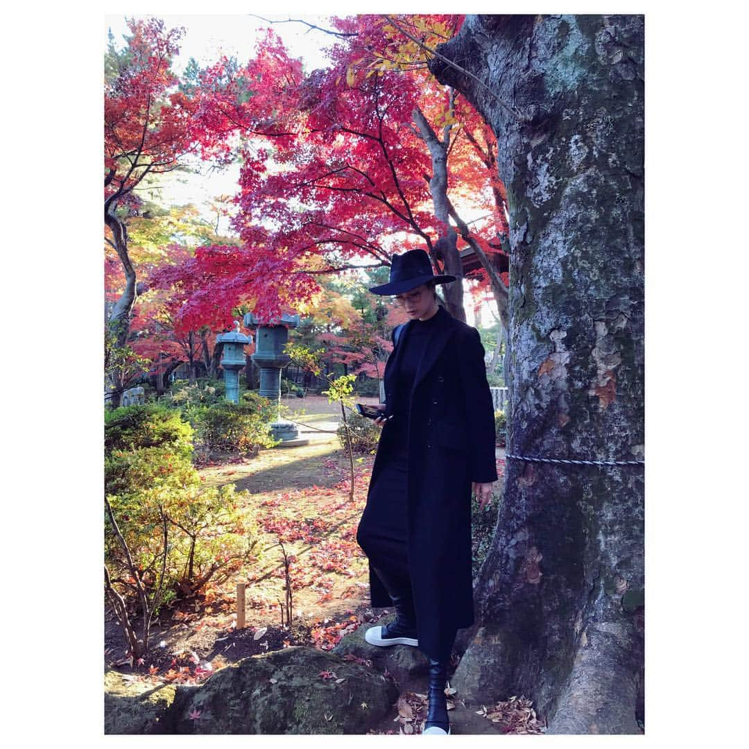 菜々緒さんのインスタグラム写真 - (菜々緒Instagram)「#豪徳寺 #紅葉 🍁🍠❤️」12月6日 13時11分 - nanao_official