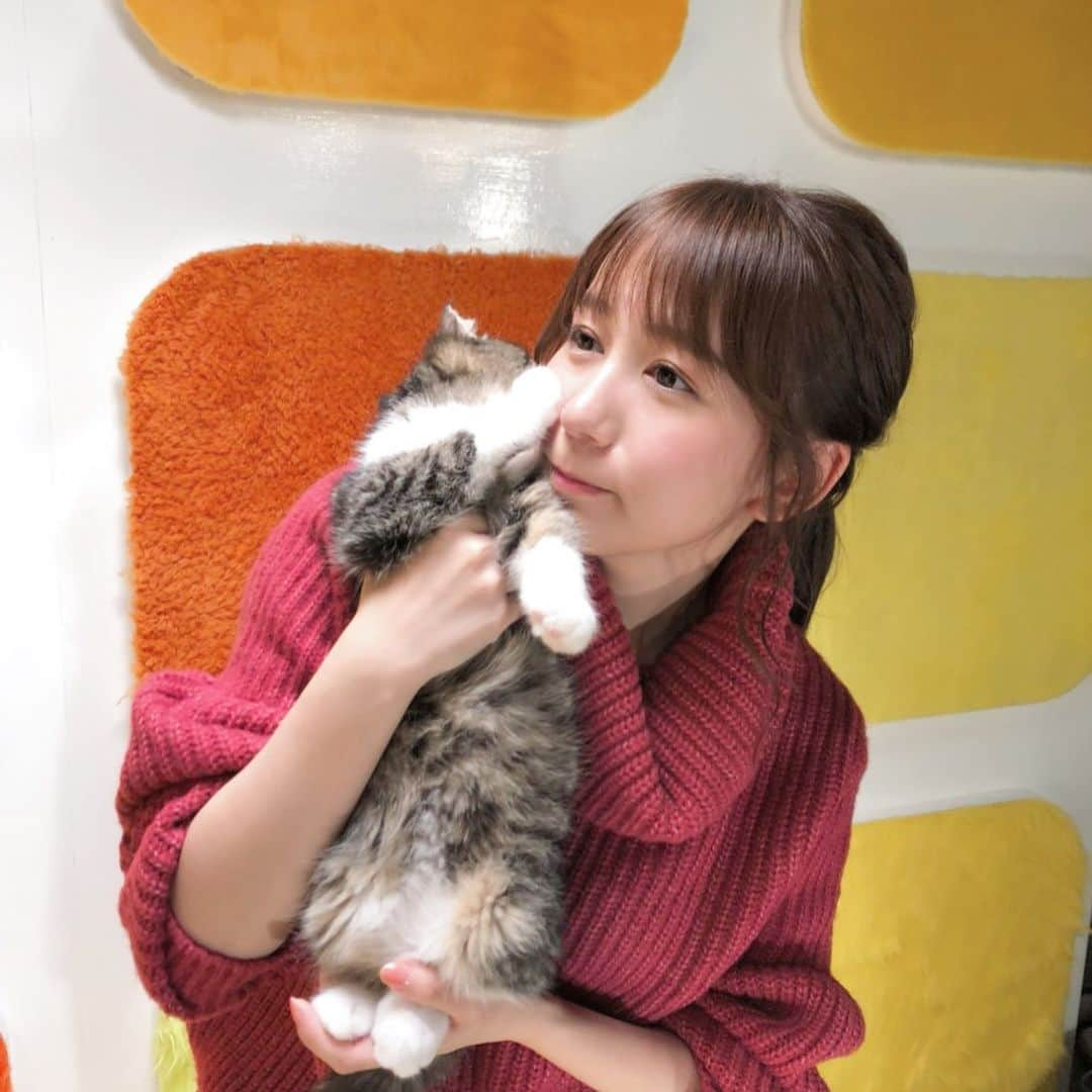 大場美奈さんのインスタグラム写真 - (大場美奈Instagram)「🐱 人生初子ねこ。子ねこかわいい。ふわふわ。 #子猫」12月6日 17時21分 - obamina__43