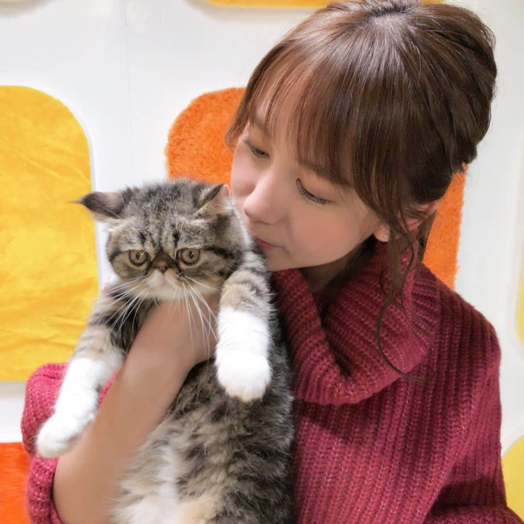 大場美奈さんのインスタグラム写真 - (大場美奈Instagram)「🐱 人生初子ねこ。子ねこかわいい。ふわふわ。 #子猫」12月6日 17時21分 - obamina__43