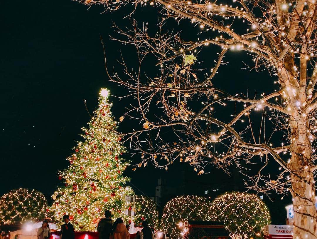 平祐奈さんのインスタグラム写真 - (平祐奈Instagram)「クリスマスが近づいてきてるね🎄 街中がキラキラしてて気持ちも弾んじゃいますね♪♪ 今日の東京タワー♡だったよ🗼見た⁇かわいかった☺︎ クリスマスの予定は決まったかな⁇ 明日も一緒に頑張ろうね⭐️ #クリスマス #イルミネーション #夜景 #今月も楽しもうね  #サンタさん来てくれるかな #東京タワー #の上 #オーロラ #に見える #今日の収録の影響受けすぎ笑 #またお知らせしまーす」12月6日 23時59分 - yunataira_official