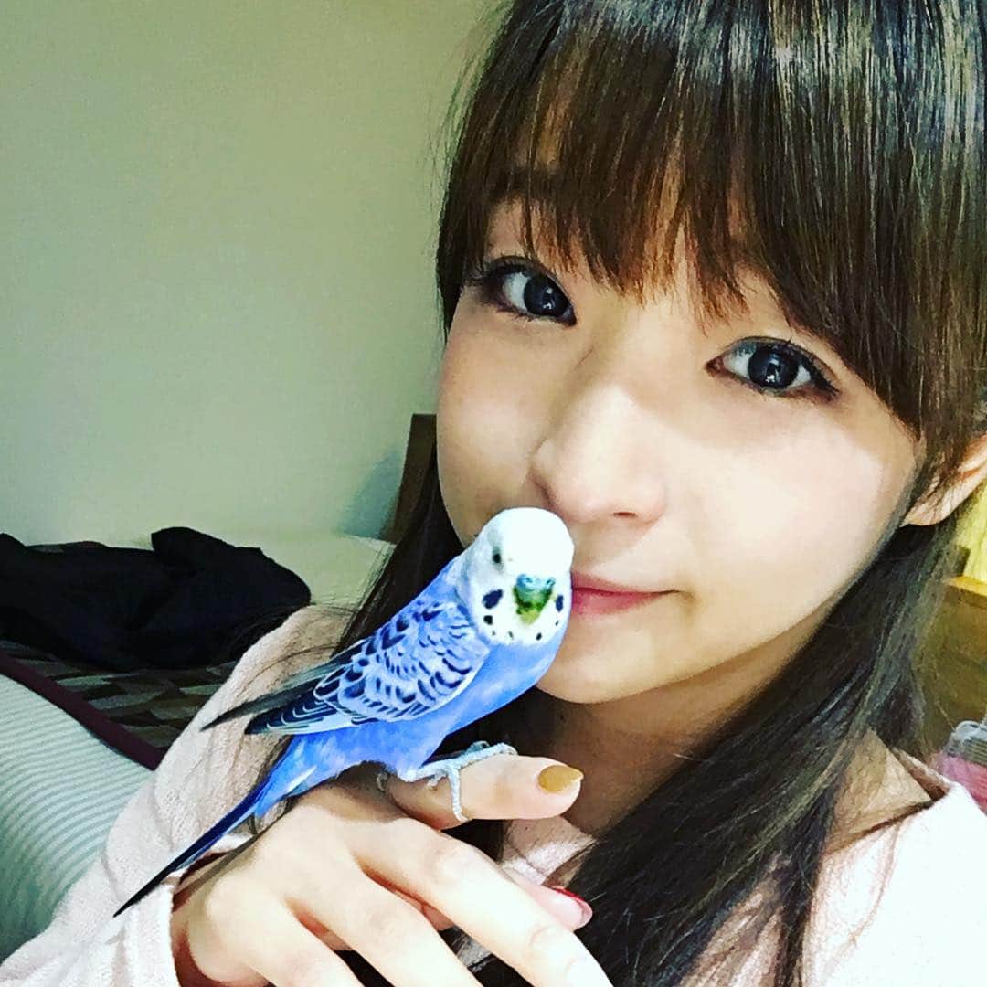 くぼたみかのインスタグラム：「愛❤️ #鳥 #インコ #love」