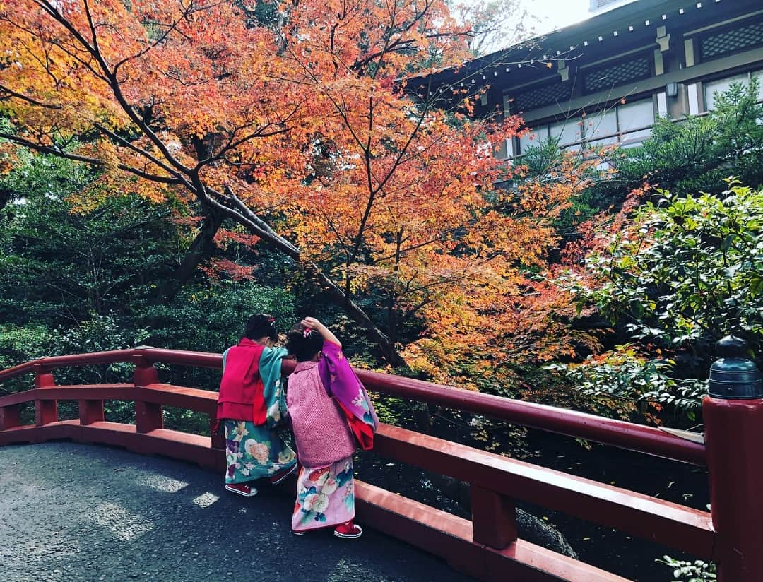 東原亜希さんのインスタグラム写真 - (東原亜希Instagram)「双子っぽいリンクした着物を早く抑えるべく、5月に試着に行ってから長かった七五三year、やっと終わり😂 . お詣りは別日に家族全員で。そのまた別日に家族写真をスタジオで。で、終わる予定だったのに、その日は大泣きで大股開きな写真になってしまい、それも思い出だったけど、外の光でどうしてももう一度やりたくて、本日双子だけでリトライ!!! . 終始ご機嫌で、走り回り、ご機嫌すぎて追いかけ回すだけでぐったり。私は和装なんてできるわけもなく、 ひたすらご機嫌とり！ . 結果的に素敵な写真をまた羽田さんに撮ってもらい、あったかくて上着もいらず最高な日になりました❤️ ありがとう、@memories_photostudio . で、前出の草履。。。一度も出番なし🤣」12月7日 16時02分 - akihigashihara