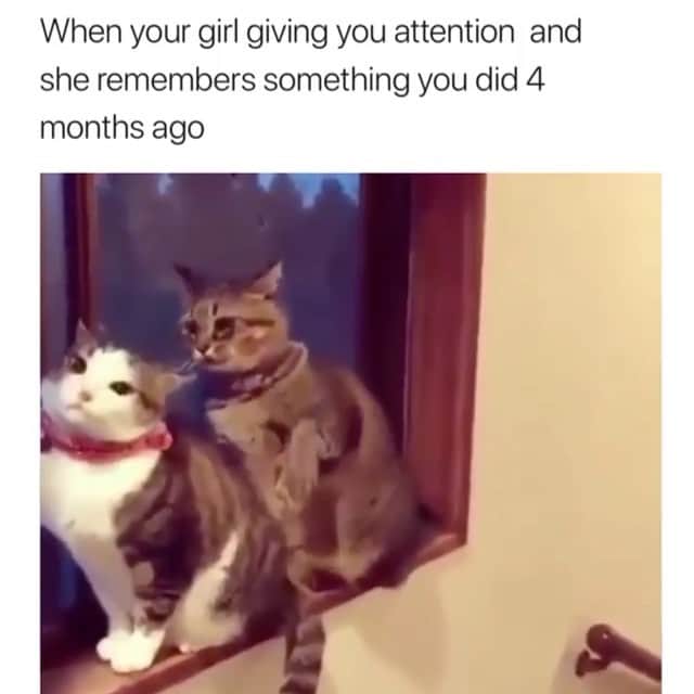 laurag_143のインスタグラム：「🤣🤣🤣」