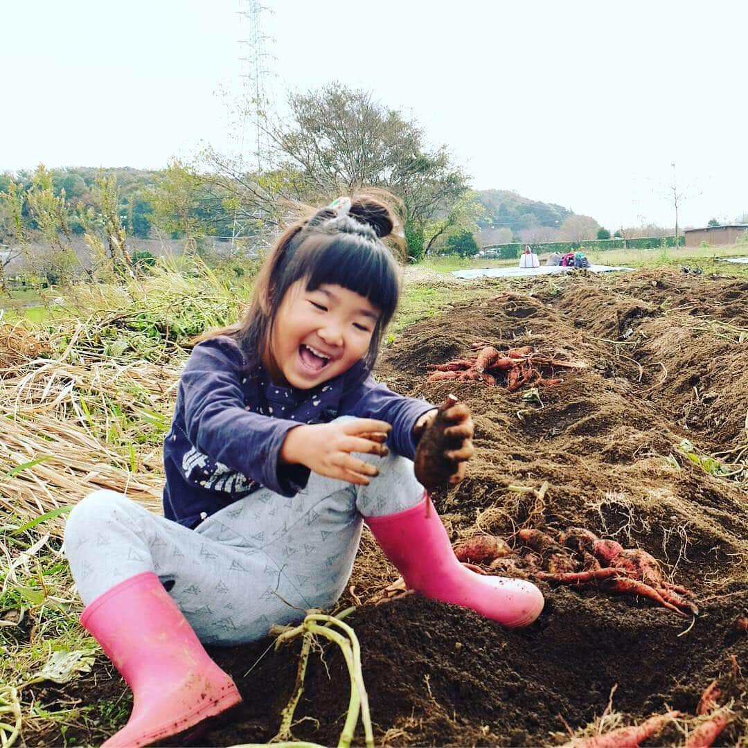 FOOD&COMPANYさんのインスタグラム写真 - (FOOD&COMPANYInstagram)「_ 【湘南野菜Lohengrin(ローエングリン)のカラフル野菜! @湘南T-site店】  湘南T-site店では、湘南農家さんと顔の見える関係性を大切にしたいという思いから、農薬不使用、土作りから丁寧に育てられた採れたてのお野菜を日々取り揃えています。  藤沢・茅ヶ崎のLohengrin、にこにこ農園、島次郎農園、小田原の春夏秋冬 など、それぞれの個性溢れる旬の野菜や果物を届けていただいています。  今日ご紹介する農家さんは、Lohengrin（ローエングリン）。 週２回、開店前にカゴいっぱいの採れたて新鮮野菜を届けてくれます。  葉付きの彩り豊かな人参、旬をまるごとブーケのようにまとめた旬菜セット、ピクルスやサラダに華を添えるカラフルな大根などは毎日の食卓やお弁当に彩りを添えてくれます。  テーブルビーツやフランス原産の赤い菊芋など、効能やオススメの食べ方などがラベルに記されていますので、初めてのお野菜もトライしてみたくなりますよ！  またお店で大評判の、安納芋の焼き芋はLohengrinさんのもの。（大好評のためご提供できるのもあと僅かとなりました！) 「自然や食べ物の在り方に目をむける」そんな子どもたちを増やしていきたい、という想いが野菜からも伝わります。  火曜日と金曜日の朝はLohengrinさんのお野菜がお店を彩っています。本日と明日は21時まで、皆様のご来店を心よりお待ちしております。  #foodandcompany#shonan_t_site#湘南野菜#カラフル野菜#新鮮野菜#lohengrin#ローエングリン」12月7日 8時02分 - foodandcompany_grocery