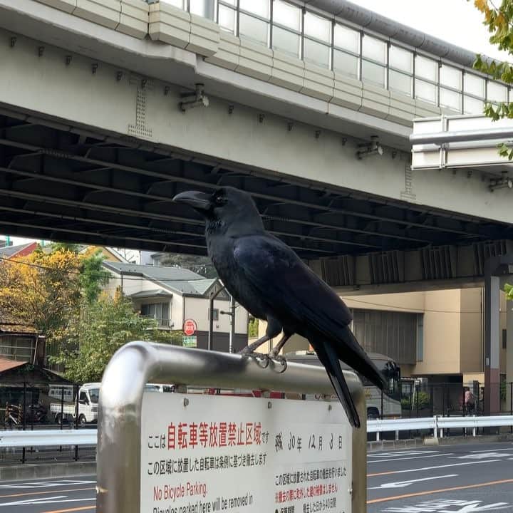 のインスタグラム：「思ってたのと違う」