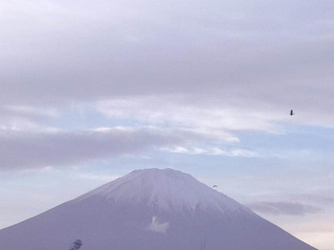 平子理沙さんのインスタグラム写真 - (平子理沙Instagram)「今日は綺麗な富士山が見えました〜🗻💕 #富士山#fujimountain #travel#lifestyle#beauty#fashion#risahirako#平子理沙」12月7日 17時33分 - risa_hirako