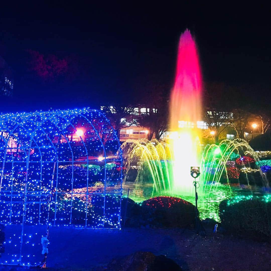 東海大学（公式）さんのインスタグラム写真 - (東海大学（公式）Instagram)「湘南キャンパスでは、現在噴水前広場にてクリスマスイルミネーションを行なっています☺︎✨✨ とても綺麗ですので、皆さんもぜひお立ち寄りください( * ˊᵕˋ )✨ #東海大学  #湘南キャンパス #クリスマスイルミネーション  #毎年恒例」12月7日 17時48分 - tokai_univ_