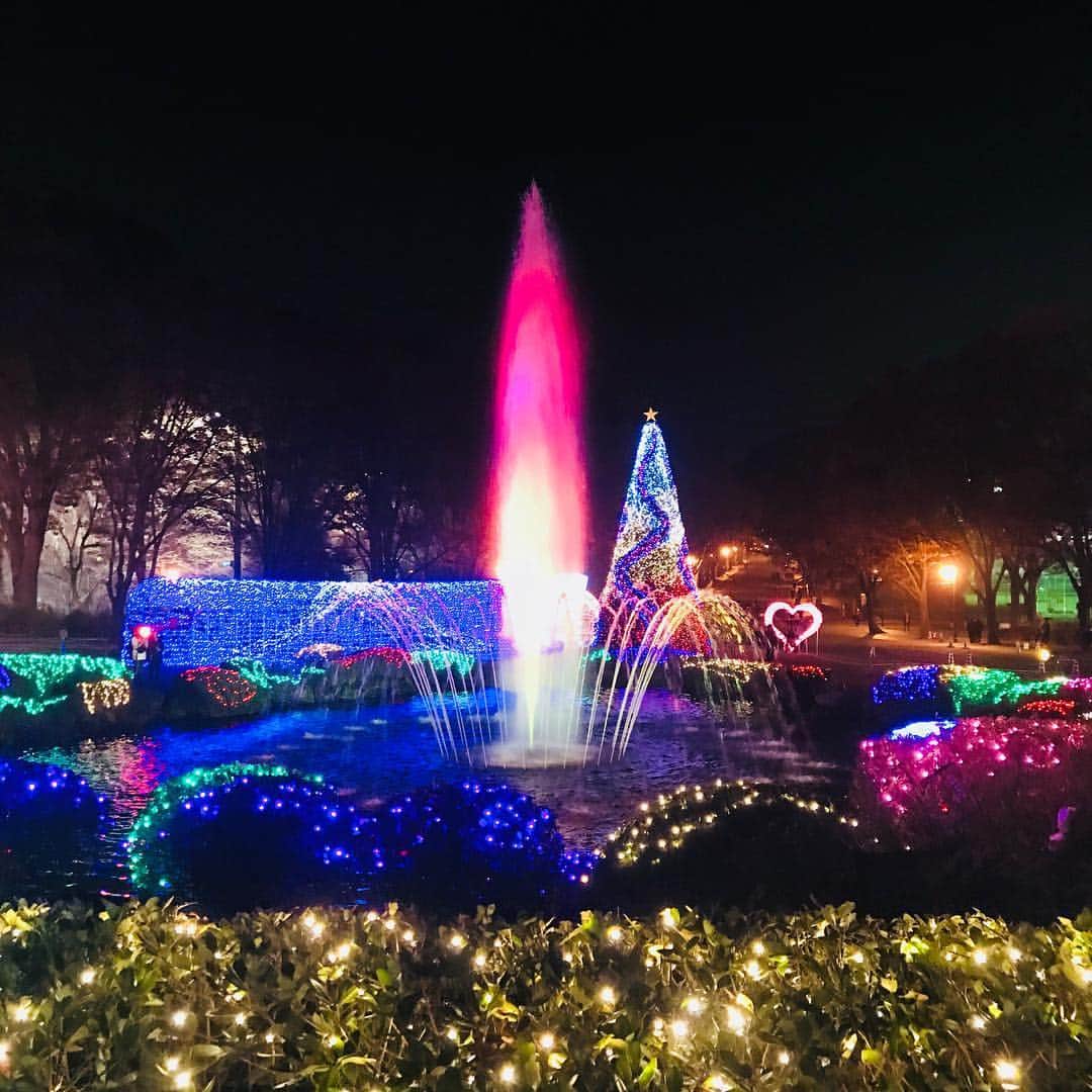 東海大学（公式）さんのインスタグラム写真 - (東海大学（公式）Instagram)「湘南キャンパスでは、現在噴水前広場にてクリスマスイルミネーションを行なっています☺︎✨✨ とても綺麗ですので、皆さんもぜひお立ち寄りください( * ˊᵕˋ )✨ #東海大学  #湘南キャンパス #クリスマスイルミネーション  #毎年恒例」12月7日 17時48分 - tokai_univ_