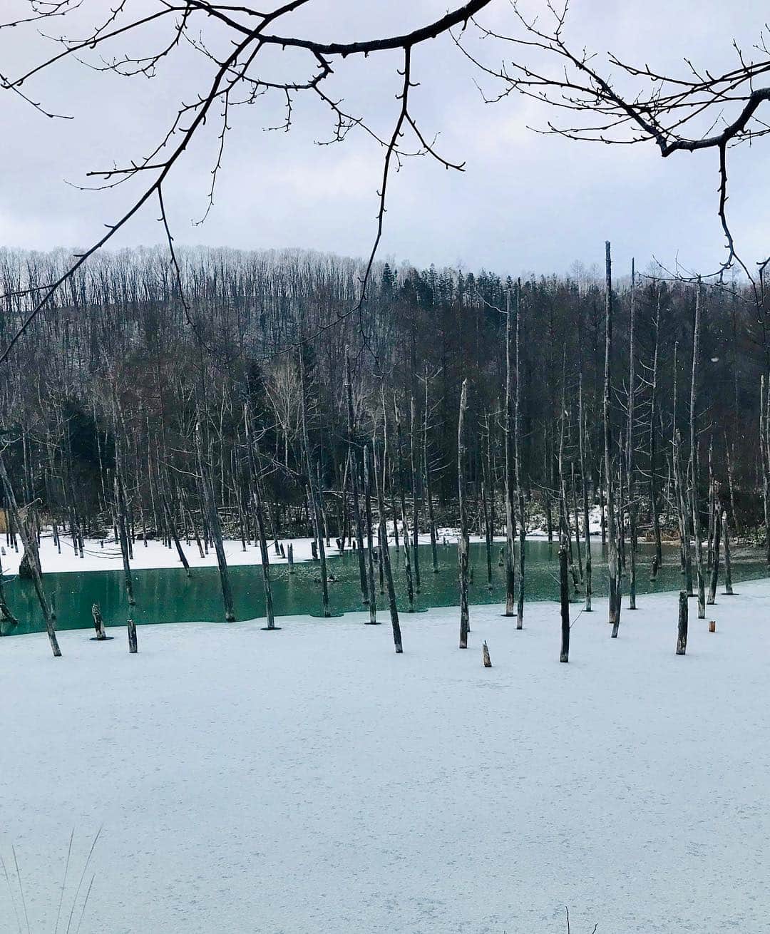 オ・ジェソクさんのインスタグラム写真 - (オ・ジェソクInstagram)「2018.12 Hokkaido/ Sapporo / Biei  일본의 겨울왕국 홋카이도에서 맞이한 첫 휴가. 눈 없는 맑은 비에이는 사실상 고추장 없는 떡볶이 같아라. 흰수염 폭포는 웅장함에 걸맞는 엄청난 눈보라로 대포에 슬러시 가득 담아 내 얼굴에 쏘는 것 같아라. 에메랄드 빛의 청의 호수는 걸어가는 길 꽝꽝 얼었기에 사실상 동계올림픽 쇼트트랙 계주 같아라. 숲속의 낭만 닝구르테라스는 누군가 공용화장실에 핵미사일 남기고 그냥 나오셨더라. 긴 운전에 지친 나를 위로한 삿포로의 음식들은 내 마음의 노벨평화상 드리리.」12月7日 18時31分 - jaesuk_oh