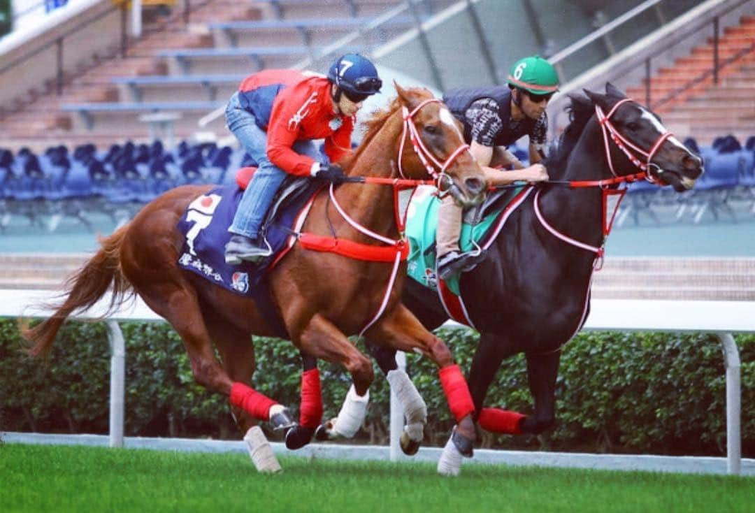 矢作克人のインスタグラム：「【香港国際競走 in 2018🇭🇰】 いよいよですね！ 競馬ファンとしては大金を使うウィークがやってきました！笑 それ以上に期待や興奮溢れる週でもあります✨ 矢作厩舎からは エリザベス女王杯で悲願のG1制覇をした#リスグラシュー と 父はあのフランケル、春のマイル王#モズアスコット が参戦します！ 今年はこの2頭が国内の次は海外で 活躍してくれるとなるとドキドキが止まりません！ 応援よろしくお願い致します！ (※岡田修平さん、素晴らしい写真お借りいたしました) + + #うまび #競馬 #競馬予想 #競馬女子 #競馬ファン #競馬好きな人と繋がりたい #UMAJO #馬 #お馬さん #香港国際競走 #香港 #エリザベス女王杯 #安田記念 + + #horse #horseracing #instagood #instafollow #followme #love #l4l #🏇 #🐎 #🐴 #Hongkong」