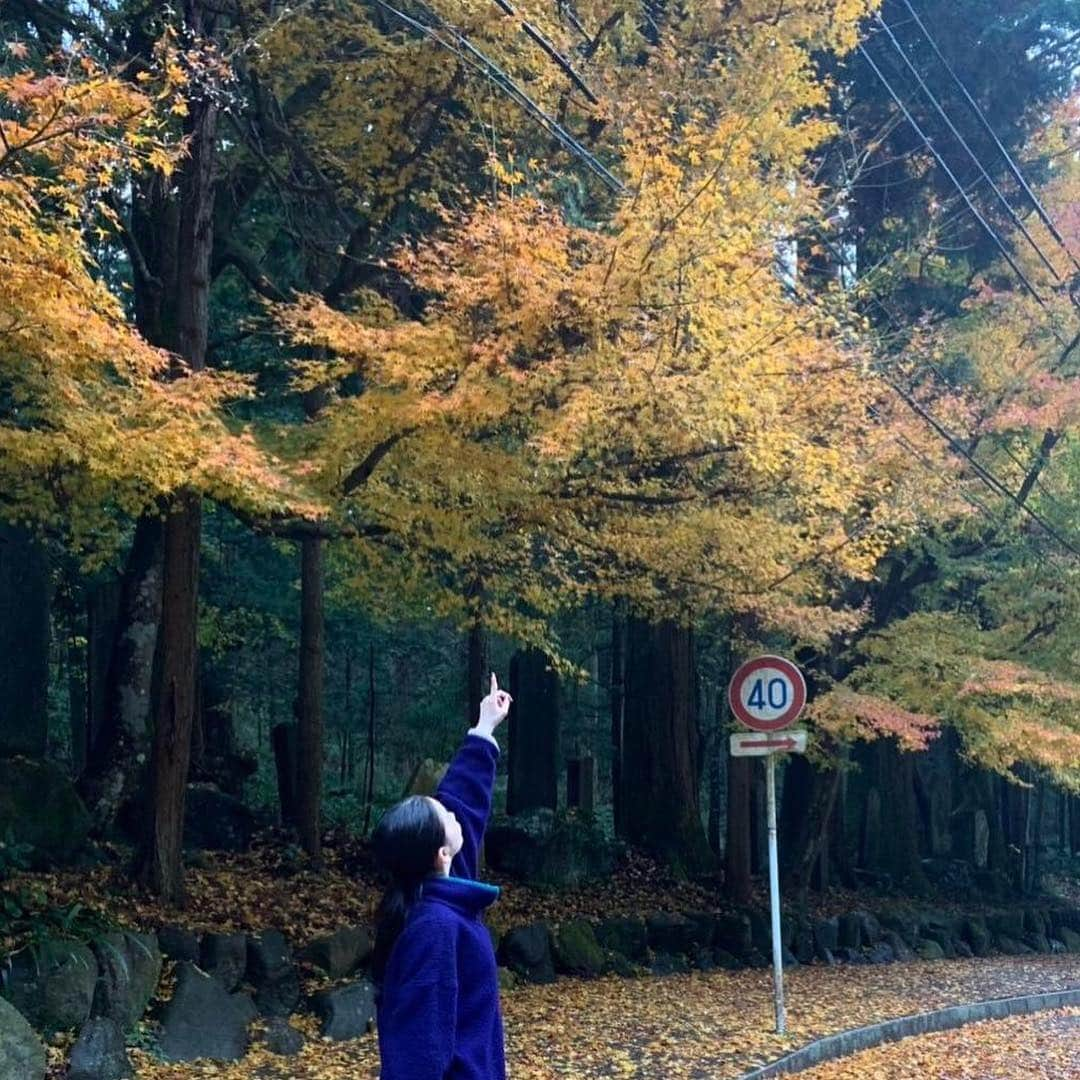 福地桃子さんのインスタグラム写真 - (福地桃子Instagram)「先週のnews zero  ご視聴ありがとうございました！ @ntvnewszero そして最乗寺へ早速いってきました。まだまだ紅葉がキレイで素敵だったのでお時間がある方はぜひ!!とてもおすすめです🍁」12月7日 20時16分 - lespros_momo