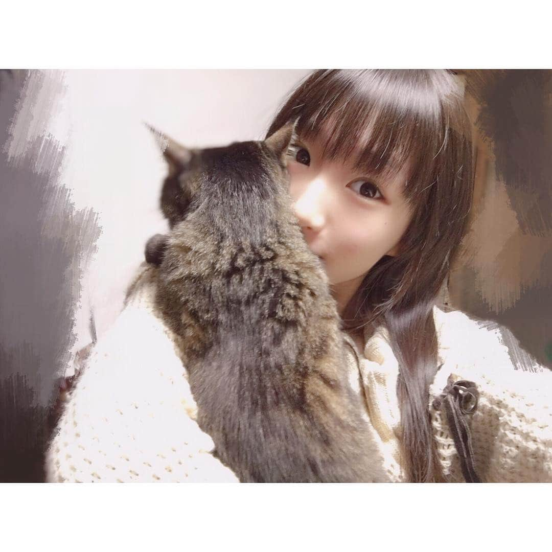 衛藤愛祐美さんのインスタグラム写真 - (衛藤愛祐美Instagram)「夜中にこんばんは🙌 そしてお久しぶりの投稿になっちゃったヾ(･ω･`;)ﾉ . . この間おばあちゃんの74歳の誕生日を祝いに実家に帰ってました〜！ ケーキも買って一緒に食べて楽しかった😊 ． ． 実家であかやって名前の猫を飼ってるんだけど、一緒に寝たりできて幸せでした(ღ˘⌣˘ღ)♡ ． ． #おばあちゃん #おばあちゃん誕生日 #猫 #あかやって名前はテニプリのキャラからつけました #誕生日 #おめでとう」12月8日 2時03分 - _eto_ayumi