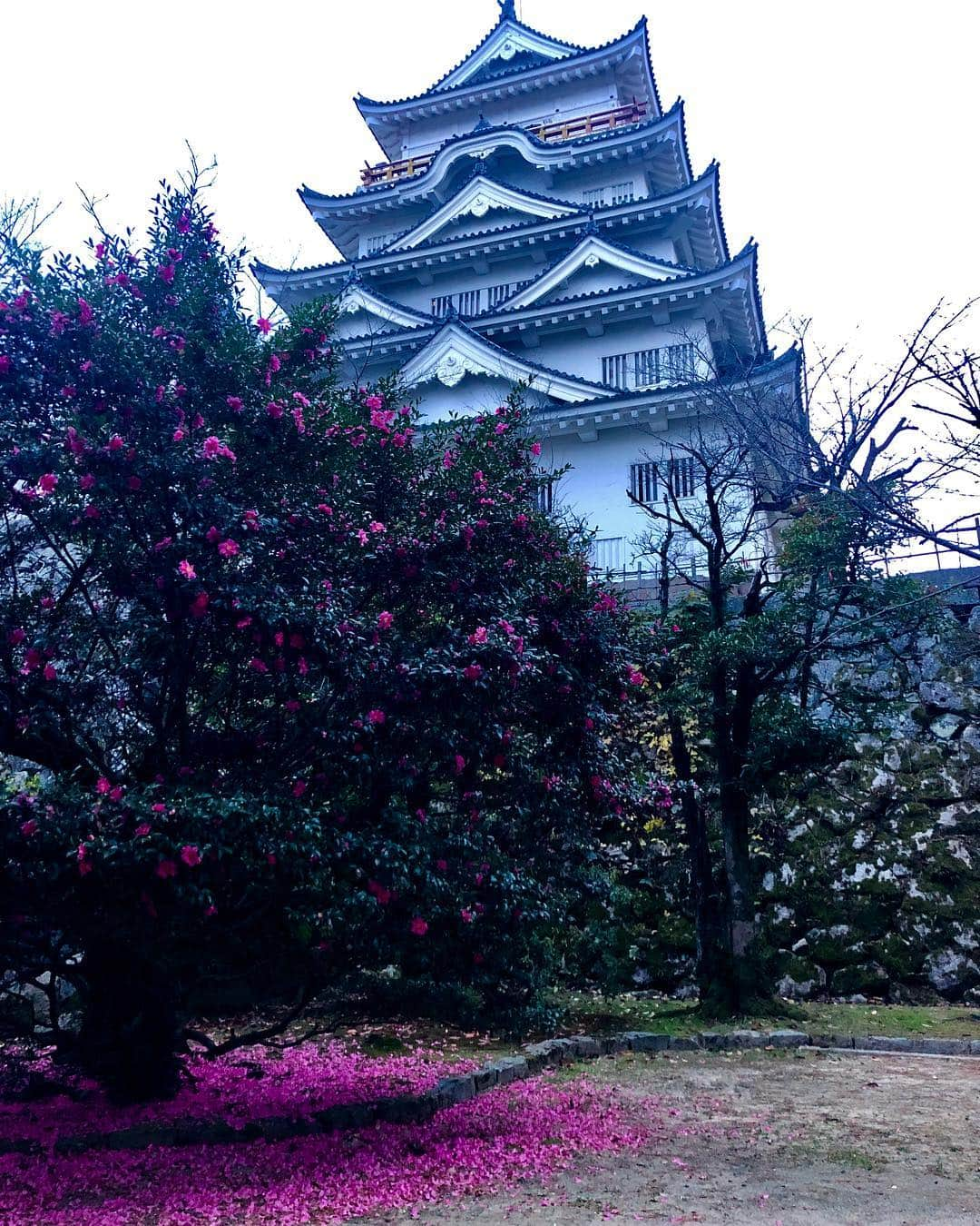 布袋寅泰さんのインスタグラム写真 - (布袋寅泰Instagram)「美しき福山城。日本の美。Fukuyama castle. Japanese beauty #布袋寅泰 #福山城」12月7日 22時43分 - hotei_official