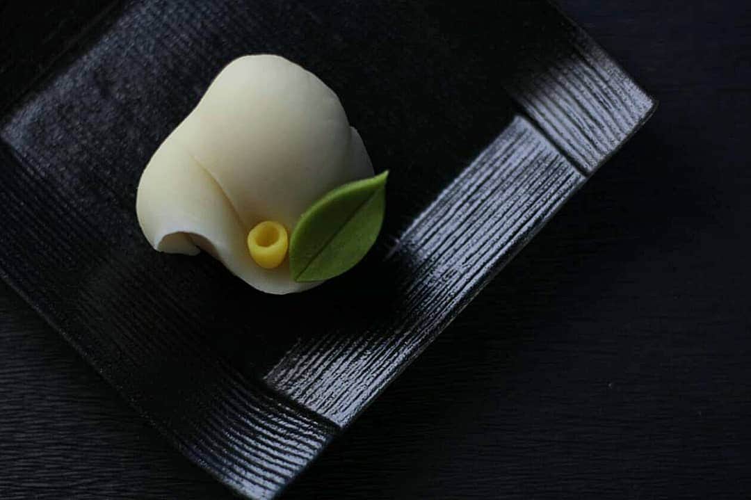 和菓子職人 三納寛之さんのインスタグラム写真 - (和菓子職人 三納寛之Instagram)「『白椿』  練り切り製 白漉し餡  練り切りを薄い絹の布で包んで絞って成形しています。摘んで捻るだけですがとても奥が深い絞りという表現技法です。  同じ絞りでも作り手によって形も表情も様々。  絞り方も多くの種類があります✨  職人としての技量が試される技法の一つです☆  多いと一日1200～1300個くらい絞る時があります、絞ってるうちにだんだん正解が分からなくなったりまりします😅笑  ーーーーーーーーーーーーーーーーー  #和菓子 #wagashi #花鳥風月 #茶道 #お菓子 #インスタ茶道部 #sweets #nerikiri #hermoso #delicioso #綺麗 #可愛い #漂亮 #萌 #可爱 #美味 #椿 #TSUBAKI #花 #flower #日日是好日 #三代目 #抹茶 #matcha  #화과자 #器 #器好き #和 #和スイーツ #練り切り」12月8日 6時36分 - wagashi_sanchan
