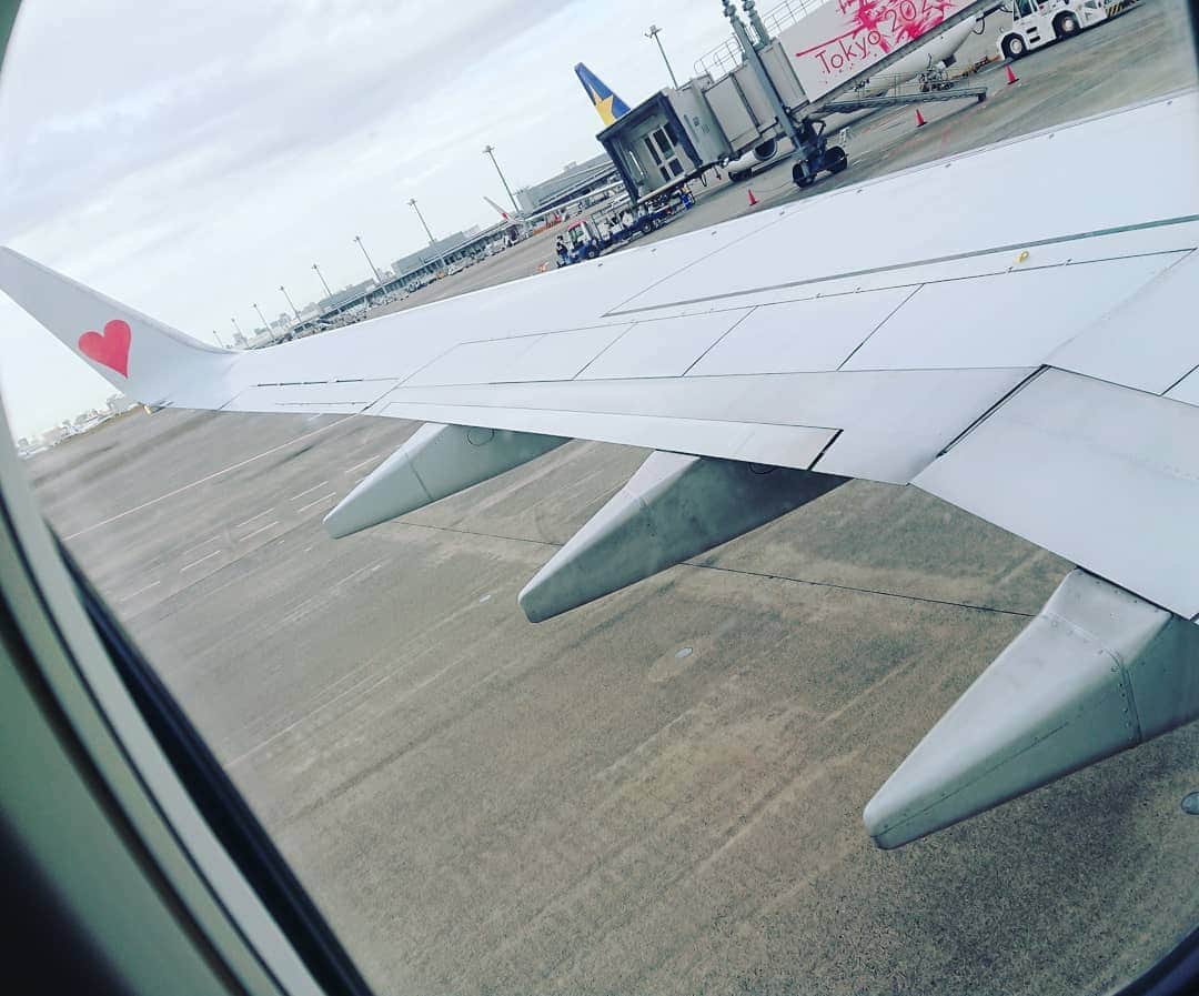 長塚全さんのインスタグラム写真 - (長塚全Instagram)「飛行機乗ると定番の写真 笑」12月8日 8時57分 - zen_nagatsuka