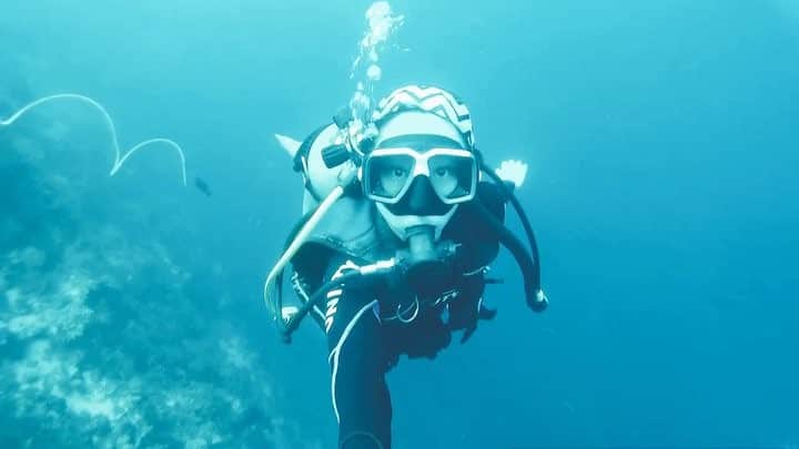 志摩夕里加のインスタグラム：「🧜‍♀️🧜‍♀️🧜‍♀️ ・ ・ ただ泳いでるだけのMovie🧜‍♀️ ・ ・ #ダイビング #スキューバダイビング #scubadiving #cebu #underthesea #エリックどこよ？」