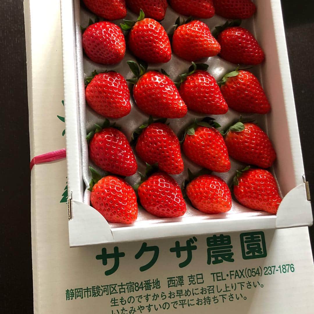 齋藤学さんのインスタグラム写真 - (齋藤学Instagram)「いちごの季節がやってきた。 美味しいよー！  #サクザ農園」12月8日 14時23分 - manabu011
