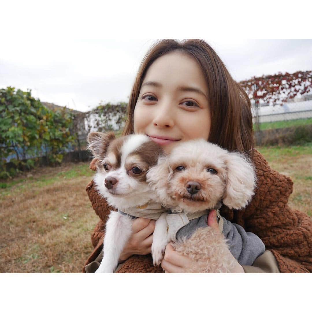 佐々木希さんのインスタグラム写真 - (佐々木希Instagram)「私達母ちゃんも 楽しかったぞ…♡ #犬会 #愛犬 #ドッグラン」12月8日 17時09分 - nozomisasaki_official