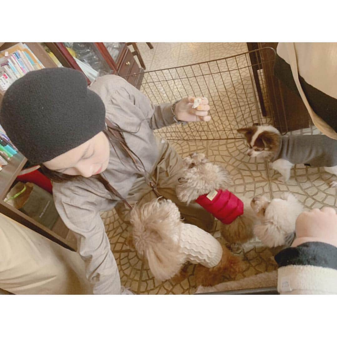 佐々木希さんのインスタグラム写真 - (佐々木希Instagram)「私達母ちゃんも 楽しかったぞ…♡ #犬会 #愛犬 #ドッグラン」12月8日 17時09分 - nozomisasaki_official