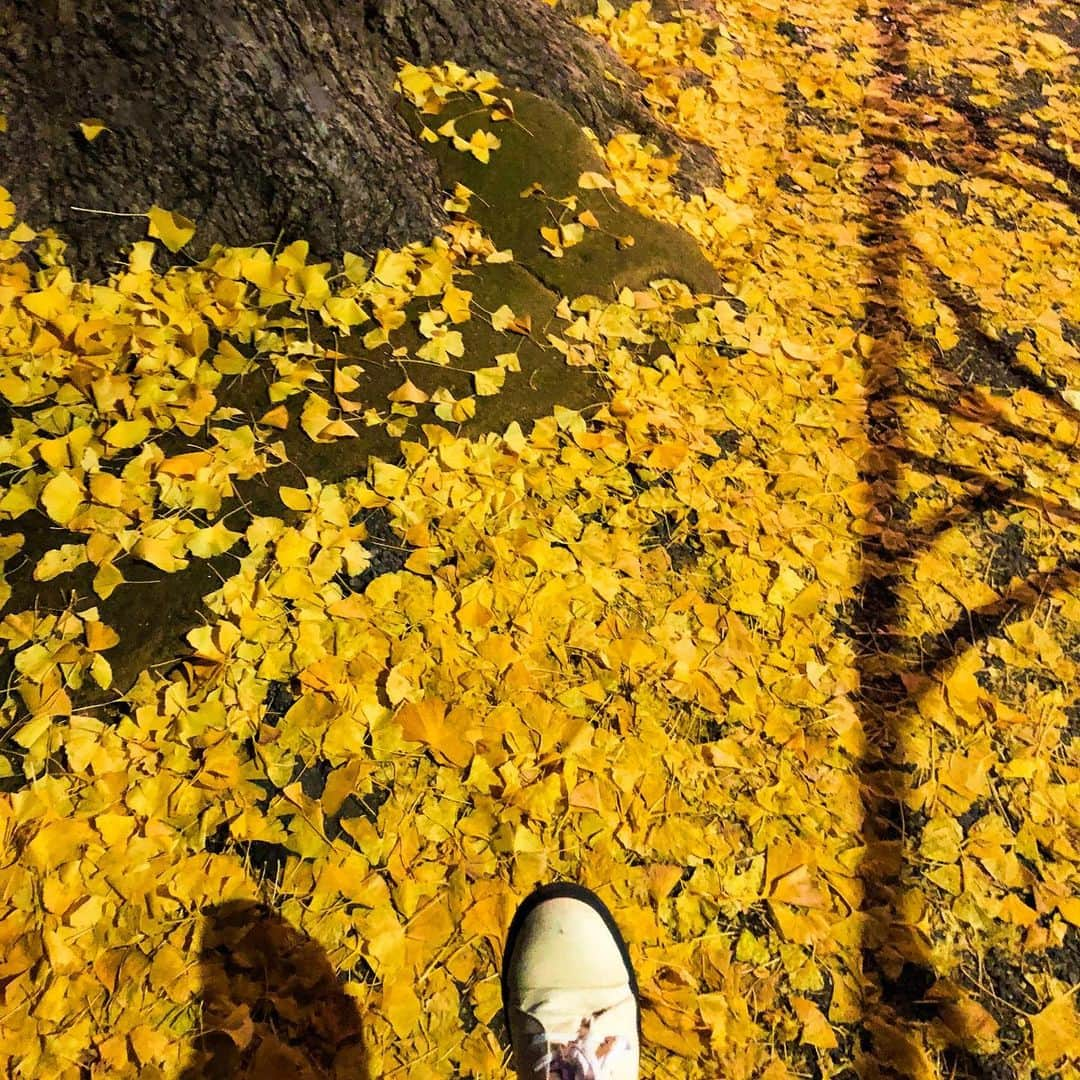 木村良平さんのインスタグラム写真 - (木村良平Instagram)「#紅葉 #お腹すいた」12月8日 22時03分 - ryouhey_drunk