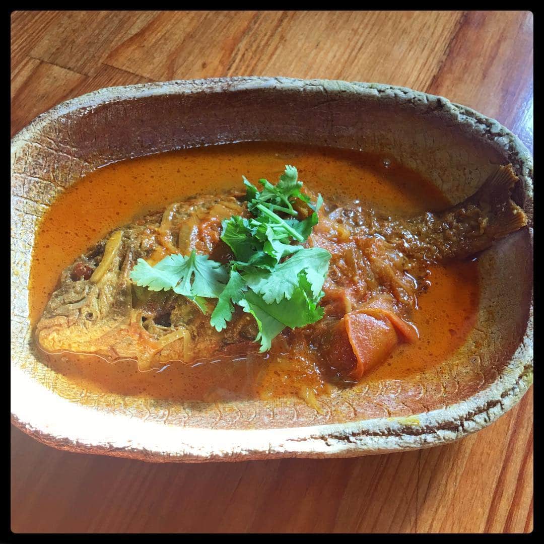 堂島孝平さんのインスタグラム写真 - (堂島孝平Instagram)「ハイダルさんのカレーを約1年ぶりに食す。やっぱりなんとも美味かった…。今回は鯛のカレー(納豆トッピング)と薬膳牛モツのカレーをいただきました。福岡に行ったらまた必ず行こう。ハイダルさん、いつもごちそうさま！」12月8日 22時33分 - dojima_kohei