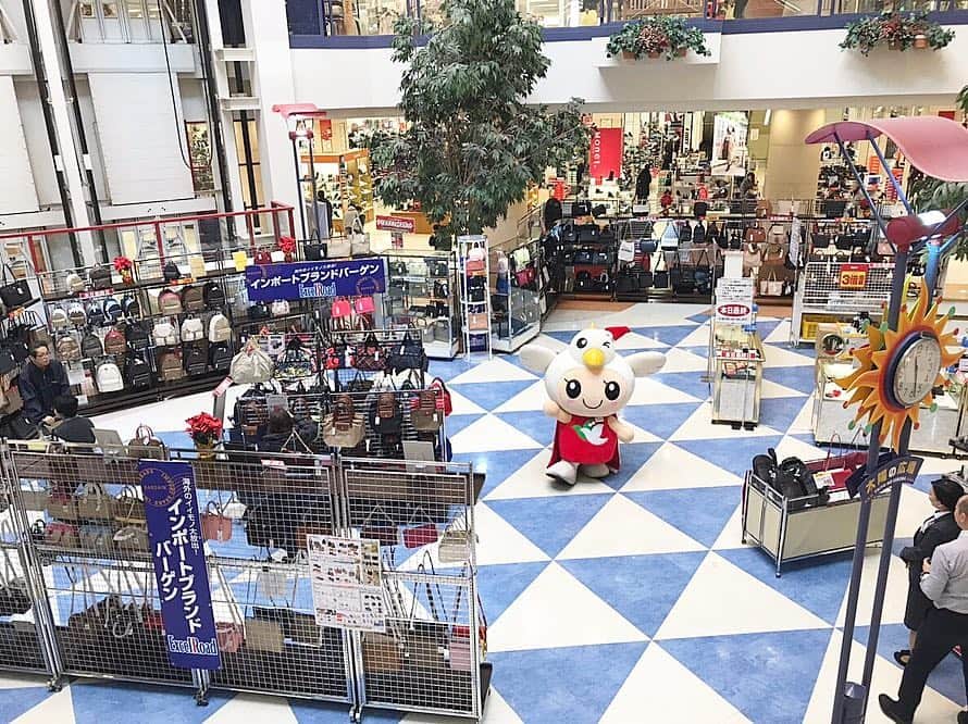 平和堂イメージキャラクター「はとっぴー」のインスタグラム