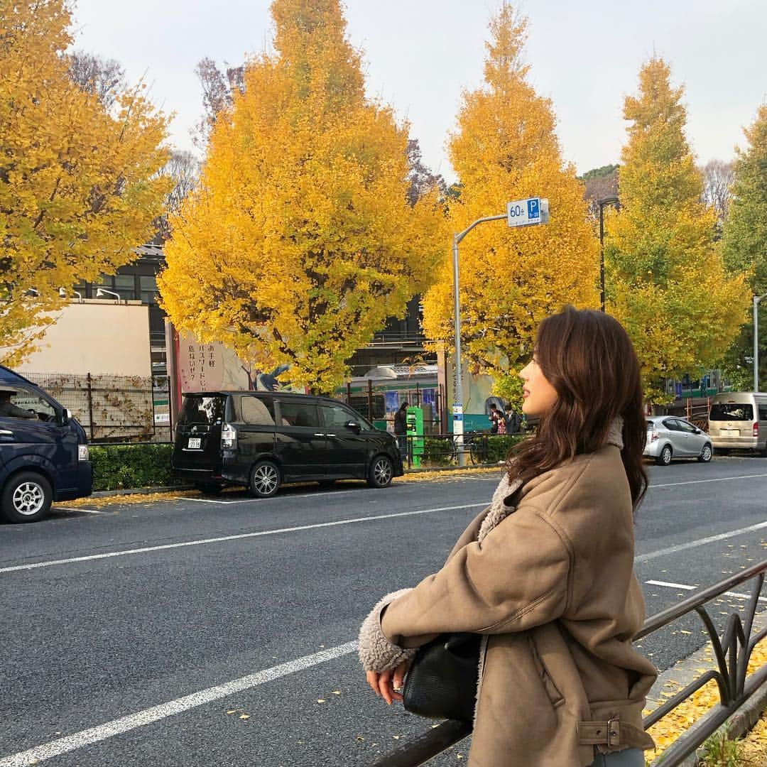 坪井ミサトさんのインスタグラム写真 - (坪井ミサトInstagram)「. . 綺麗なイチョウ並木発見🙈🍂 見つめる先は原宿駅…🤫笑 . . #イチョウ並木 #原宿 #自然好き #イチョウ見つめて #そこは駅 #healthylifestyle #naturalbeauty #野球 #野球女子 #fitness #fitnessgirl #training」12月9日 18時29分 - misato1030