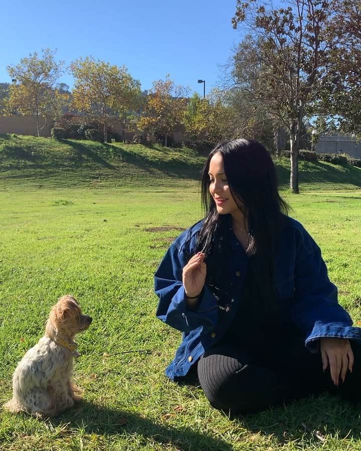 ステラ・ハジェンズのインスタグラム：「Oh, did I forget to mention if you win, the prize is $100,000? So, you know, that’s a plus. But seriously, submit your dog video now for @themostamazingdog and you’ll help charities, like the @aspca, fight against animal cruelty! Go to Worlds Most Amazing Dog on Facebook and Audition Now! 🐶❤」