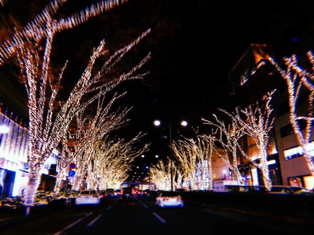 伊藤沙莉さんのインスタグラム写真 - (伊藤沙莉Instagram)「なんで毎年見てんのに 毎年うわぁ🥰ってなるんだろ」12月10日 18時38分 - itosairi