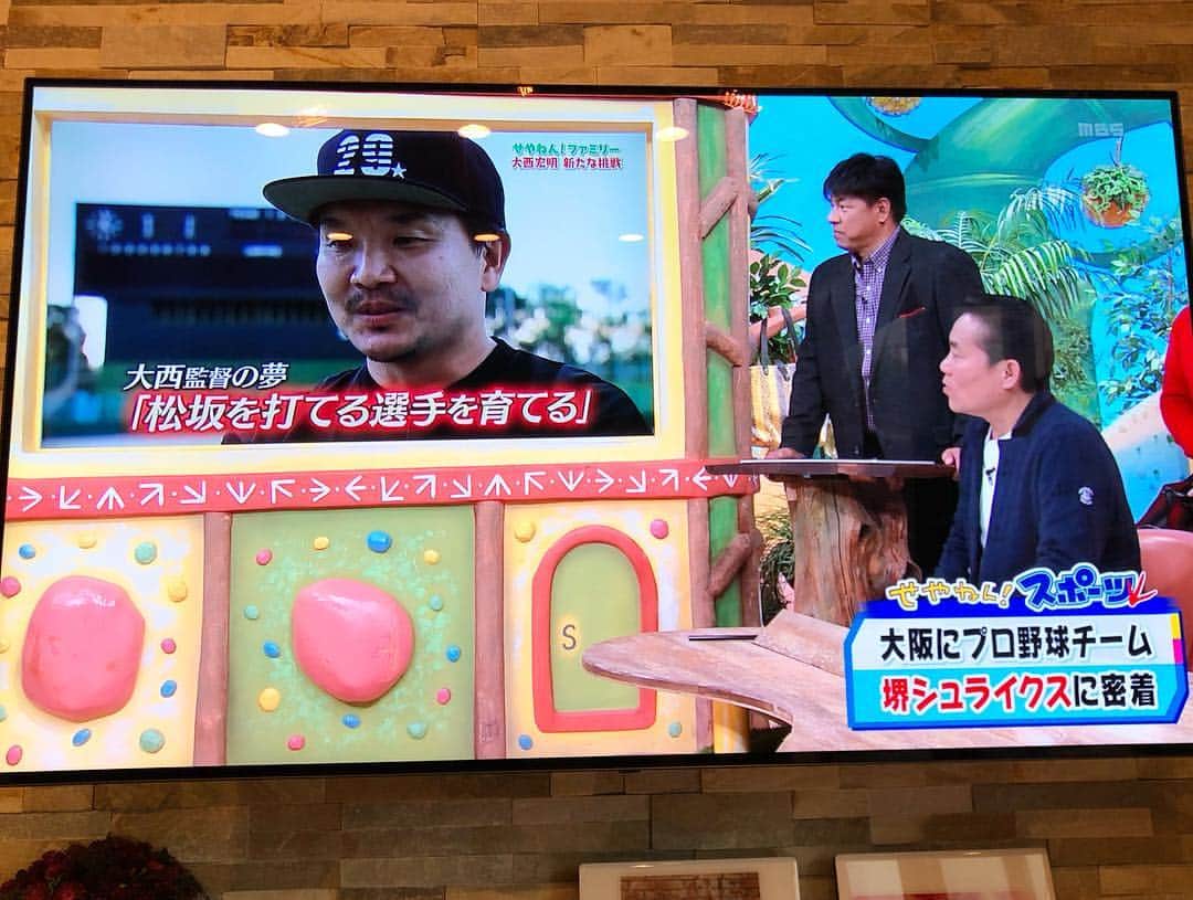 大西宏明のインスタグラム：「#堺シュライクス 先週の土曜日‼️ MBS「せやねん」で約10分も取り上げてくれたっ😆😆😆 #せやねん  #やっと  #onair  #有難い  #しかも  #長い尺 #mbs 様 #有難うございます  #月いち 宜しくです😆 #関西独立リーグ  #新球団  #つくろう堺市民球団  #監督  #夢見る若者たちへ  #夢を捨てない方々 #野球やりましょう  #雅ジィジ  #トミーズ雅  #せやねんファミリー  #smile #ほなっ！！」