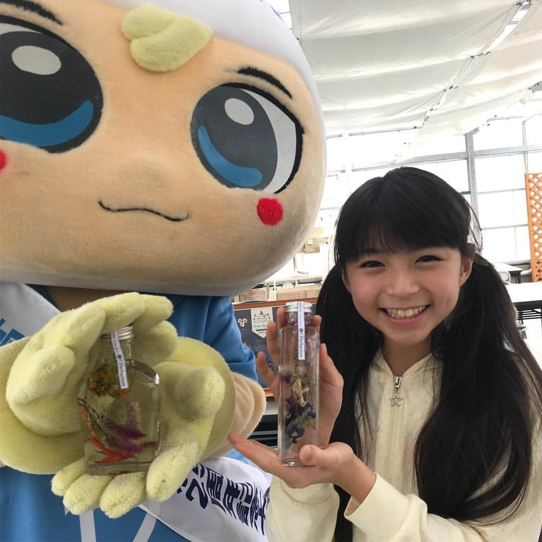 カマタマーレ讃岐さんのインスタグラム写真 - (カマタマーレ讃岐Instagram)「2018.12.08 【さぬぴー大使の沖縄PR】  #さぬぴー は沖縄美ら海水族館を後にし、次は名護市にある「なごアグリパーク」へ！  ここは名護市が整備を進めている農業活性化を目的とした施設で、さぬぴーはハーバリウムとカラーサンドの製作を体験しました。 細かい作業が必要なところにも意外な器用さを発揮し、初心者でも簡単に作ることができました！ 体験終了後、さぬぴー本人の希望により、作ったハーバリウムとカラーサンドは施設に寄贈させていただきました！今後来た方はさぬぴーの作品が見られる….かも（笑）  その後は農産加工品や健康食品を購入できる「アグリショップ しまちゅらら」に訪れた後、最後はレストラン「やんばるダイニング美ら島キッチン」 で沖縄の島野菜を使ったランチビュッフェ！普段は食べる事のできないいろんな種類の野菜を味わう事ができました！  #ANA高松沖縄就航25th #kamatamare  #大里菜桜 #なごアグリパーク #ハーバリウム #カラーサンド #島野菜 #沖縄県」12月10日 16時35分 - kamatama_kouhou