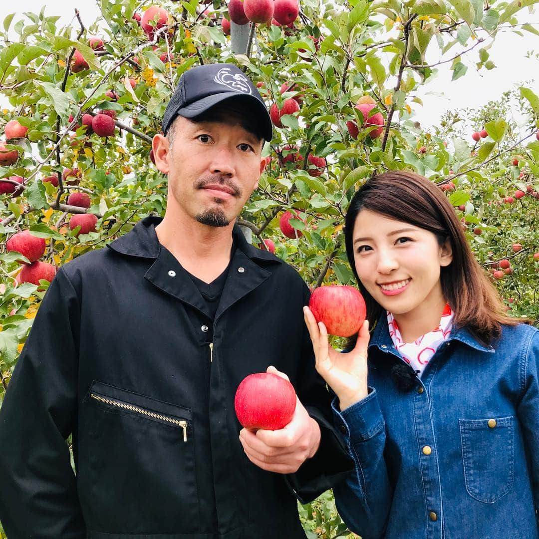 松井絵里奈さんのインスタグラム写真 - (松井絵里奈Instagram)「NHK総合「うまいッ！」 食材ハンターとして 初出演でした♪♪ 長野県飯綱町で出逢った… 「サンふじ🍎」 小さい頃からりんごの木を描くのが好きでしたが、 人生で初めて サンふじのりんごの木をみてビックリ！！！ ひとつの木に、こんなにりんごができるなんて‼️ しかも、太陽に当てるために、ひとつひとつりんごを 玉回しする農家さんの姿に感動。。 + スムージーや、風邪の時などは、必ずりんごが欠かせなかったのですが、りんごの奥深さに驚きの連続でした。 + りんご農家さんに教えて頂いた アイディアレシピも実際に 作ってみましたー♪ ⚫︎りんごの春巻き ⚫︎りんごの天ぷら ⚫︎りんごのおこわ 姪っ子ちゃんも初めてのりんご料理に ビックリしながらも、 パクパク美味しいと言って食べてくれました♡ 春巻きは姪っ子ちゃんが巻いてくれました♪♪ + さすがりんご農家さん。 様々なレシピがありましたー！ りんごを使ったドレッシングも 本当に美味しかったですー❣️ + 飯綱町で出逢ったりんご農家さん。 みなさん、お肌がツヤツヤでお元気でこれは、 りんご効果なのかしら…と思い、 私も今、1日1個サンふじ食べていまーす🍎 個人的な意見ですが、 調子いい感じーー♪♪♪ + りんごの保存方法は、 新聞紙にくるんで袋に入れて冷蔵庫保存が 美味しく保存できるみたいです♡ + 蜜がたっぷり完熟サンふじ🍎をいただくのが、 今の1日の楽しみです〜♪ 私は自分で食べる時はりんごの皮ごと いただいていまーす💓  #うまいッ #長野県飯綱町 #りんご農家さん#サンふじ #1日1個りんご #自然好きな人と繋がりたい  #食材ハンター #料理#料理好きな人と繋がりたい  #사과 #松井絵里奈」12月10日 21時51分 - erina74xx