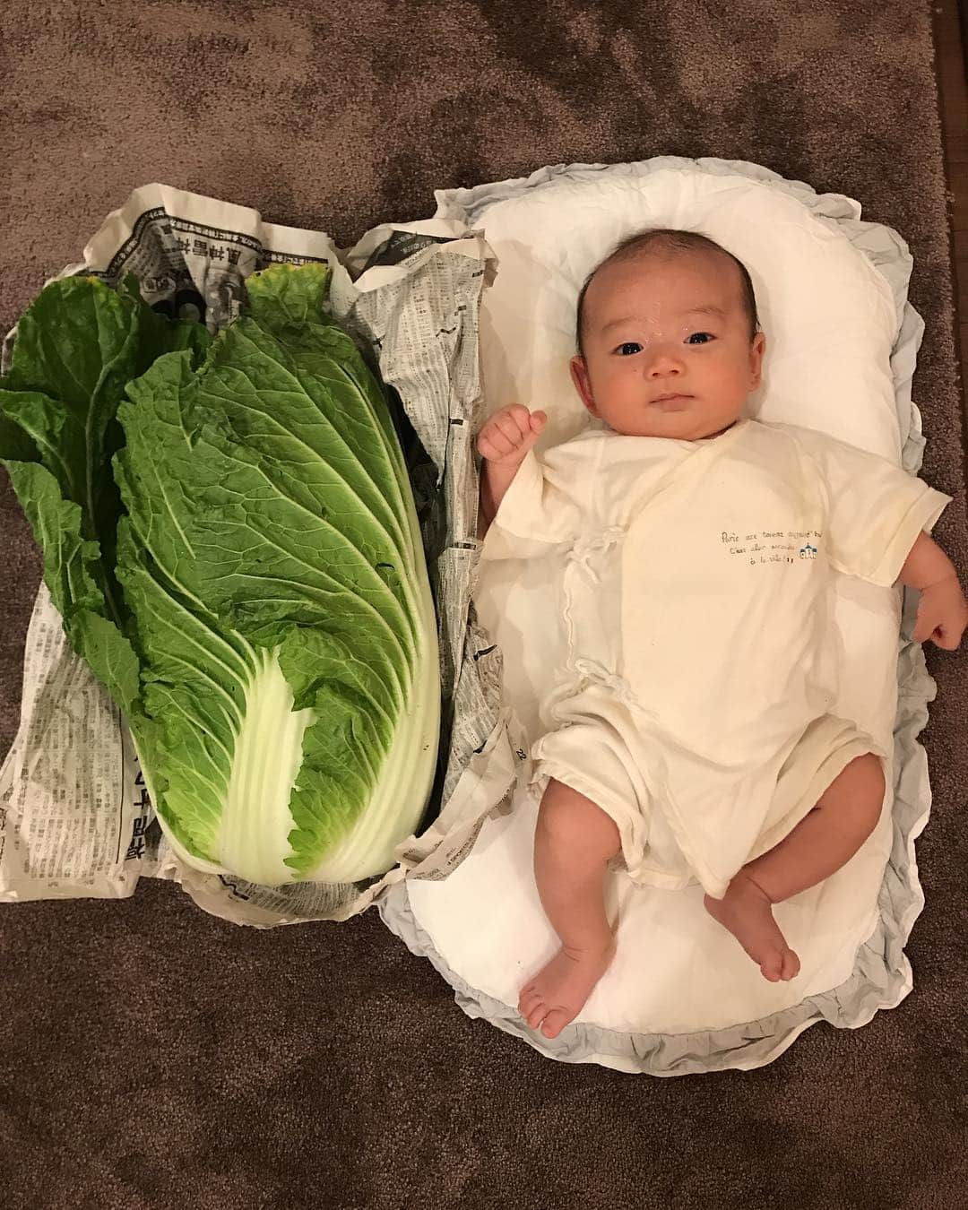 今井成美のインスタグラム：「我が子が産まれてあっという間に2ヶ月が経ち、すくすく大きくなりました😚❣️ 祖母の家で採れた白菜もすくすくと、こんなに立派に育ちましたよ😊☀️ #生後2ヶ月 #白菜」
