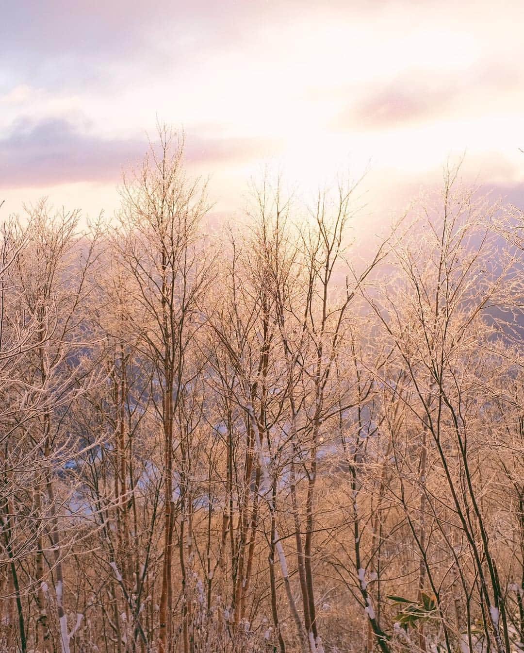 舞川あいくさんのインスタグラム写真 - (舞川あいくInstagram)「Beautiful place❄️☃️🗻 ジャグジーに入りながら眺める 雪景色 ため息がつくほどの美しさ☺️ #hokkaido #winter #星野リゾートトマム」12月11日 12時22分 - aiku_0817__