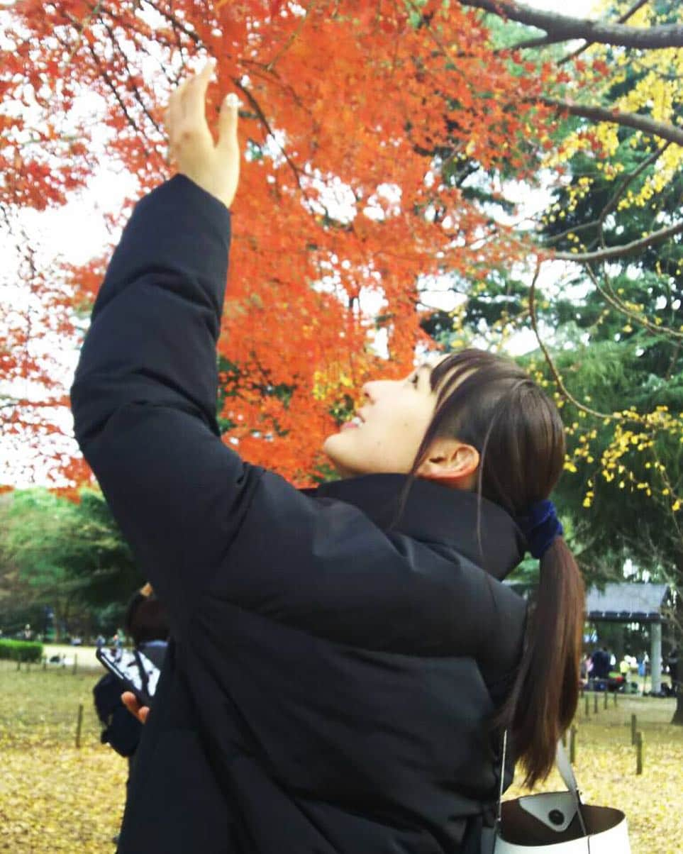 道江幸子さんのインスタグラム写真 - (道江幸子Instagram)「紅葉が綺麗すぎた. .  #紅葉 #紅葉🍁 #こうよう #代々木公園 #公園 #公園少女 #葉 #ひとつ結び #ひとつむすび #ポニーテール #ポニーテール女子 #ポニーテールとシュシュ #シュシュ #シュシュアレンジ #ポートレート #ポートレート撮影 #ポートレートモデル #ポートレート女子 #彼女感 #写ルンです #ダウンコート #空 #followme #follow #自撮り  #可愛い女の子 #写真好きな人と繋がりたい #ファインダー越しの私の世界 #東京カメラ部 #被写体」12月11日 19時46分 - sachiko_michie