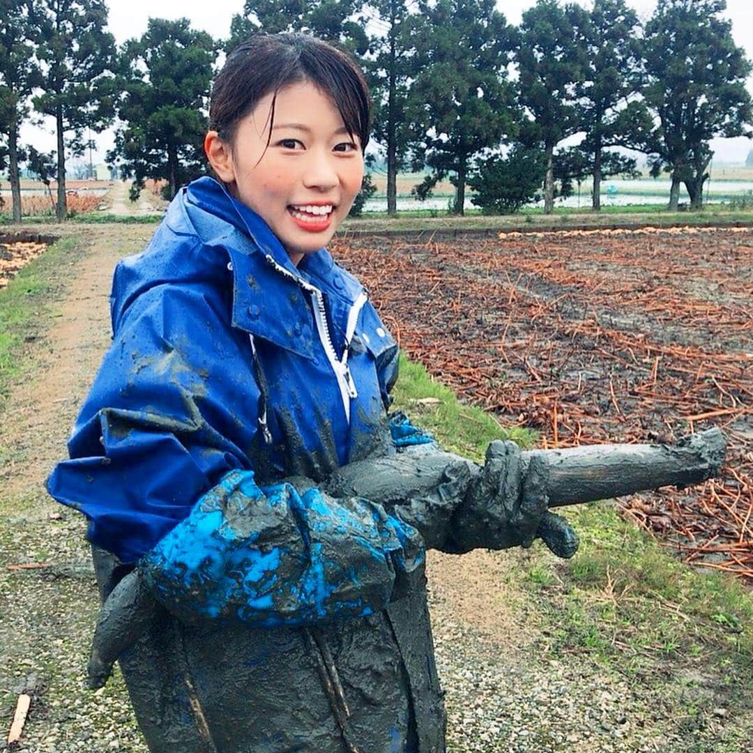 河谷麻瑚さんのインスタグラム写真 - (河谷麻瑚Instagram)「. 今日のリフレッシュ・マコどりっ！は〜〜💓 . . 『泥の中の宝物！加賀れんこん』がテーマでした😋💓 . 写真は、 クワ堀りを体験して 少し疲れ切った私。笑 . でも、手に持っているれんこんを見てください😆😆 . ビッグサイズをゲットしました😘 . とはいえ 収穫体験では 邪魔をしてばかり。 れんこんを採りに行ったはずが、 泥と格闘してばかり😂 完全に、お荷物状態でした🤣 . 農家さんの大変さを 身をもって感じました😭️❣️ . 美味しい加賀れんこんを食べることができるのは、 皆さんのおかげなんだなぁ☺️👍 . ありがとうございました😋 . . #加賀れんこん#収穫#体験#クワ堀り#水堀り#泥#泥だらけ#金沢 #農家#企画#第4弾 . . 4枚目も 疲れ切った表情🤣 次の日全身筋肉痛でした。 . そして、 こういったロケでは、性格が出ます🤣️❣️ 私の素がひょっこり、、出ちゃってましたよね😂😂笑 . 見てくださった皆さんも、 ありがとうございました️❣️ . #石川テレビ#アナウンサー#河谷麻瑚」12月11日 20時19分 - makokawatani