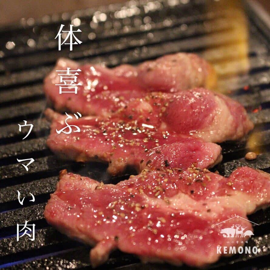 KEMONOのインスタグラム：「. 🐏ラム肉🐏 . . 皆さんご存知ですか？😊 ラム肉には、他の食肉と比べてとても栄養価に優れているんです😆✨ ビタミンB2.必須アミノ酸、鉄分、カルシウム、ミネラル分が豊富なんです✨ し❗️か❗️も❗️低カロリーなんです😳✨ 美味しくって、栄養価も高いラム肉❗️食べない訳にはいかないですね✨😆 . . #KEMONO #焼肉 . #ジビエ #ジビエ料理 #ラム肉 #日本酒 #ワイン #ビール #お酒 #肉 #ステーキ #グルメ #高タンパク #ヘルシー #ダイエット #野生 #山 #自然 . #ミナミ #大阪 #難波 #道頓堀 #裏なんば . #osaka #dotonbori #yakiniku #japanesefood #instafood」