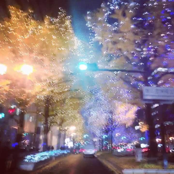 尾野寺みさのインスタグラム：「大阪御堂筋のイルミネーション✨✨✨ #イルミネーション #大阪 #御堂筋 #声出し」