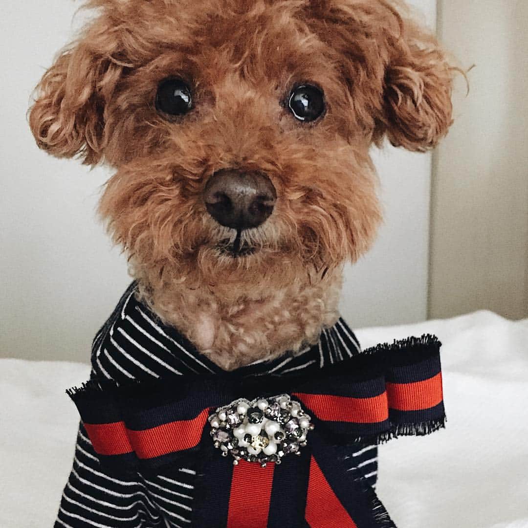 のインスタグラム：「Harry Styles」