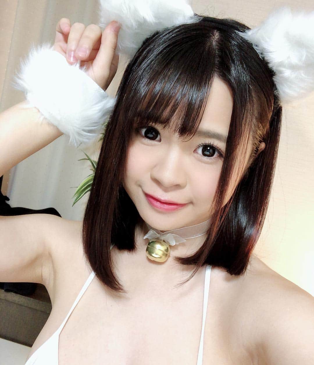 相澤ゆりなのインスタグラム：「#にゃんにゃん #撮影衣装 #ねこみみ #白猫 #懐いたらぺろぺろするよ」