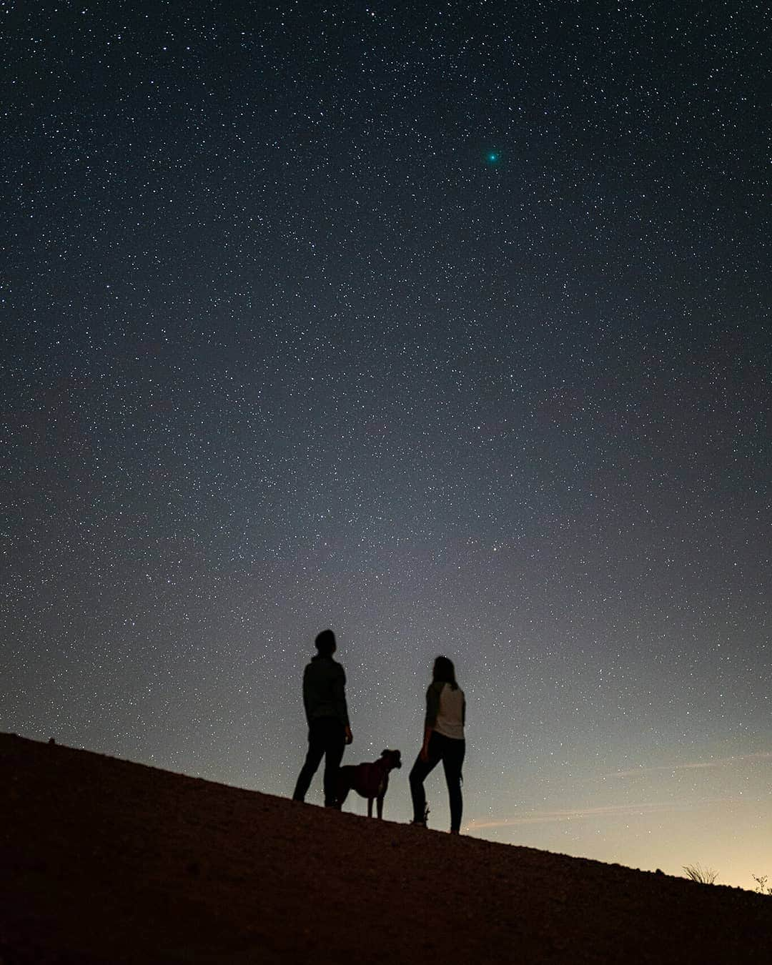 Sigma Corp Of America（シグマ）さんのインスタグラム写真 - (Sigma Corp Of America（シグマ）Instagram)「SIGMA 40mm F1.4 DG HSM Art. "Super excited to share my first image of Comet 46P and with the new Sigma 40mm F1.4 Art lens!" 📷 Photo by @jackfusco . . . . #sigmaphoto #sigma40mmart #40mm #astrophotography #nightphotography #space #stargazing #comet46p #sigma40mm」12月12日 1時59分 - sigmaphoto