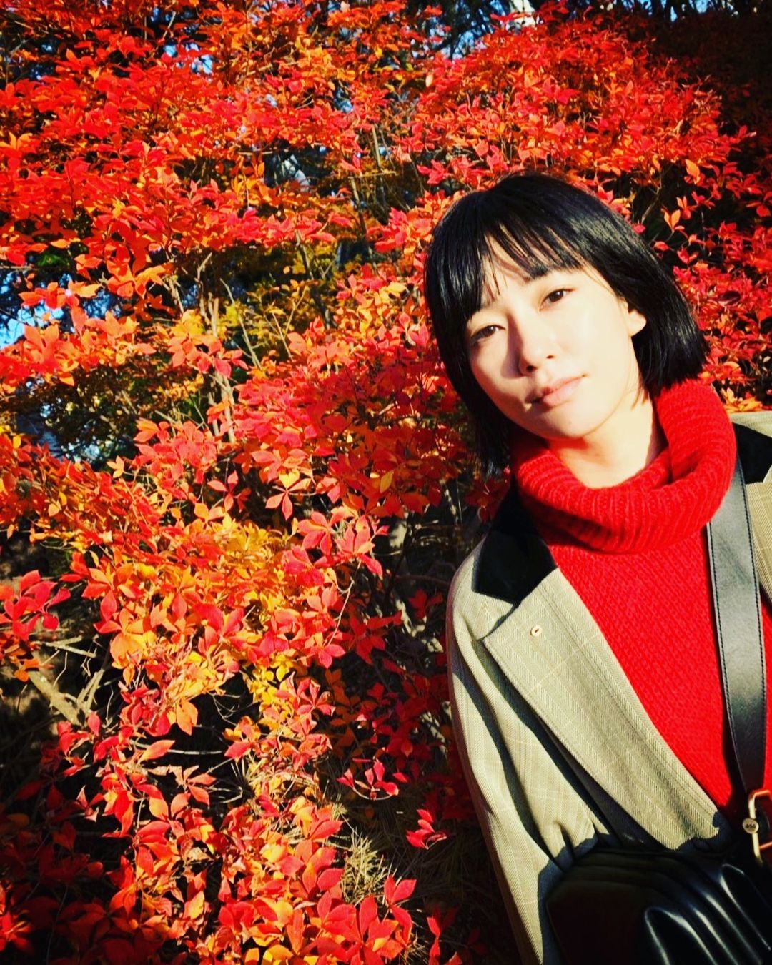 水川あさみのインスタグラム：「12月になってやっとこさ本格的に冬が到来したなって感じの寒さ。 緑も紅葉しています🍁 そしてわたしは毎日撮影しています。色々と試行錯誤しながら、良い作品にしたいなぁと、想いながら。」