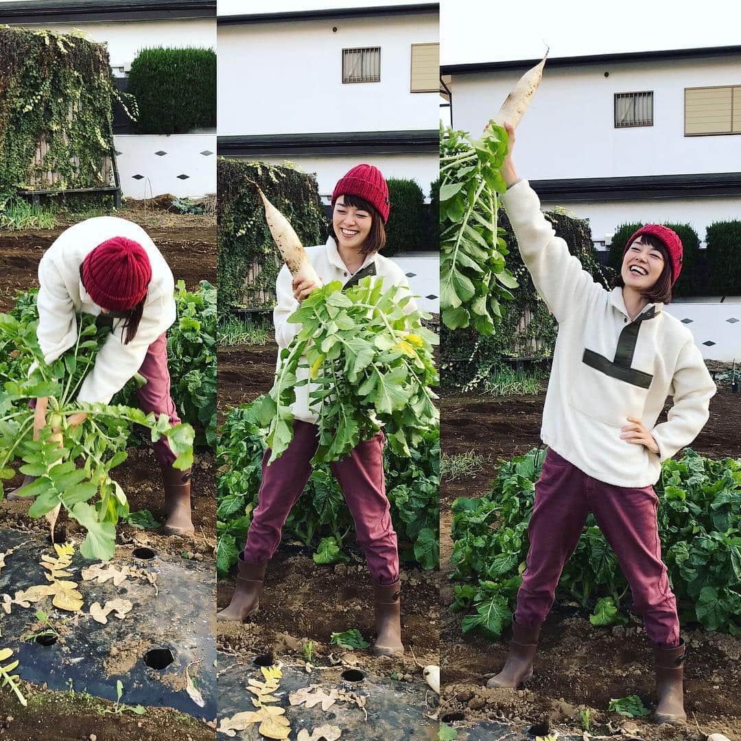 川瀬良子さんのインスタグラム写真 - (川瀬良子Instagram)「大根収穫！！！！！ 土の中で育つ野菜は とってみないとわからない ワクワクドキドキ感が たまらなくおもしろいですよね〜😆👏🏻😆👏🏻 🥕  #野菜作り #家庭菜園 #野菜 #大根 #畑 #土 #太陽 #水 #収穫 #長靴 #菜園ファッション #農作業着 #workwear #農業 #農業女子 #農作業 #たのしい #ワクワク #ドキドキ」12月12日 12時40分 - kawase_ryoko