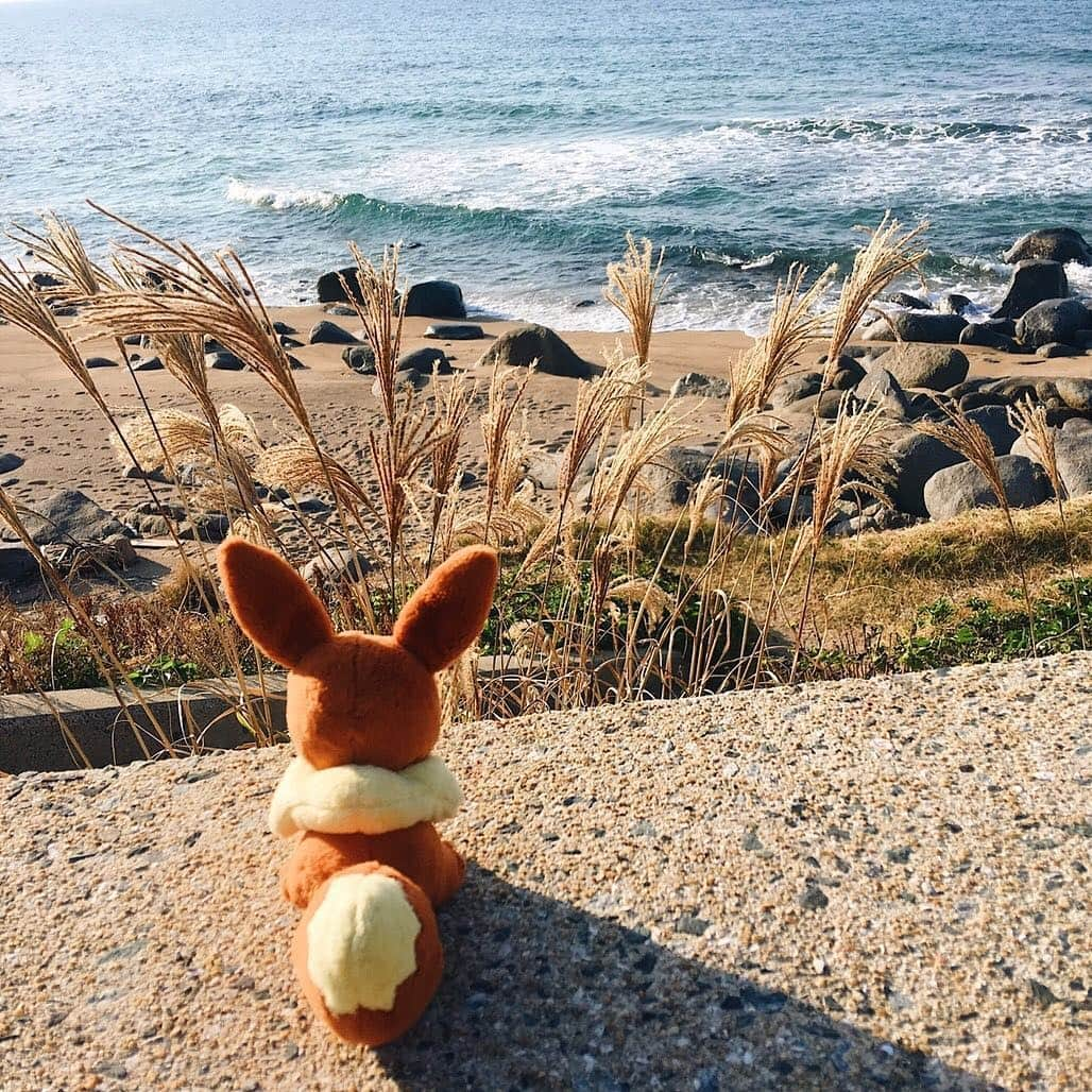 【公式】プロジェクトイーブイさんのインスタグラム写真 - (【公式】プロジェクトイーブイInstagram)「⠀ 📍Itoshima, Fukuoka / 糸島（福岡）⠀ ⠀ イーブイと冬の海。⠀ 波の音を聞くとなんだか心が落ち着くね😊⠀ ⠀ If you ever go to Fukuoka, try visiting a city called Itoshima,⠀ you’ll like it😊⠀ ⠀ ⠀ #traveleevee#トラベルイーブイ#ポケモン⠀⠀⠀ #projecteevee#プロジェクトイーブイ#イーブイ⠀⠀⠀ #pokemon#eevee#eievui#travel#japantrip#itoshima⠀ #fukuoka#fukuokapics#wintertrip#冬の海#冬の景色⠀ #福岡旅行#福岡観光#糸島#糸島巡り#ススキ⠀」12月12日 14時47分 - project_eevee