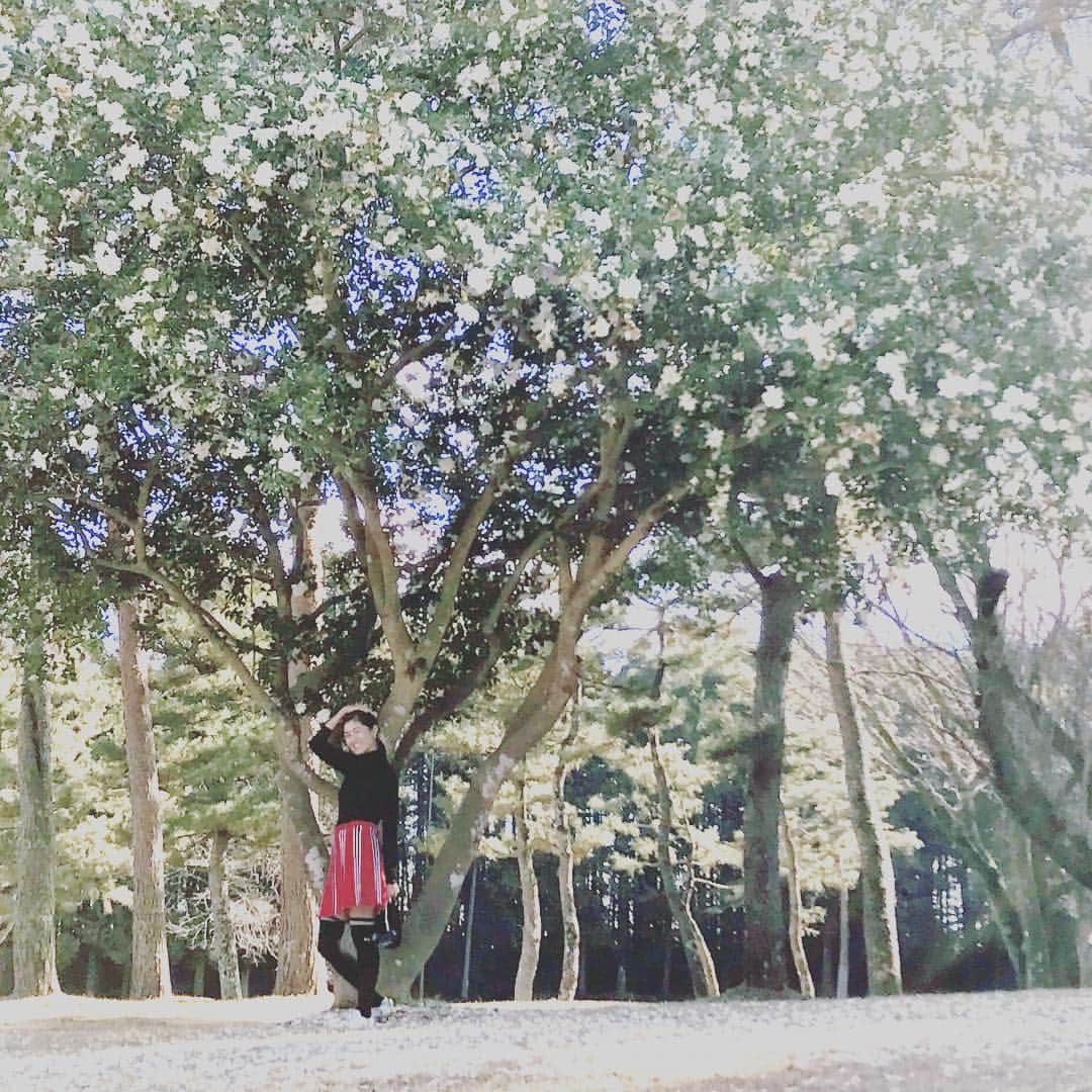 森下千里のインスタグラム：「すっかり寒くなってきましたね。 この季節にしか咲かない花もあるので、どんな時に チャンスが来るかわからないなぁ、なんて思いながら見てました。 雪の❄️ような白い花。 ここのとこ、原点回帰…頭の中が。 初心忘れずに、進みます。 . . It was very cold. But it was blooming. White flowers. Beautiful:) . . #flower #golf #golffashion #ゴルフ #冬 #beautiful #golfcourses」