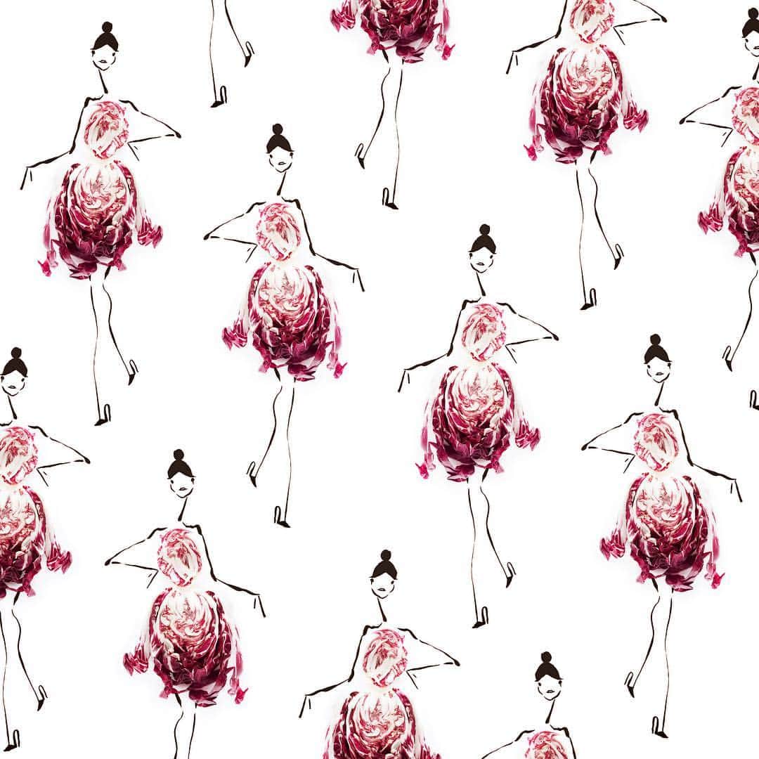 Gretchen Roehrsのインスタグラム：「i dream of radicchio」