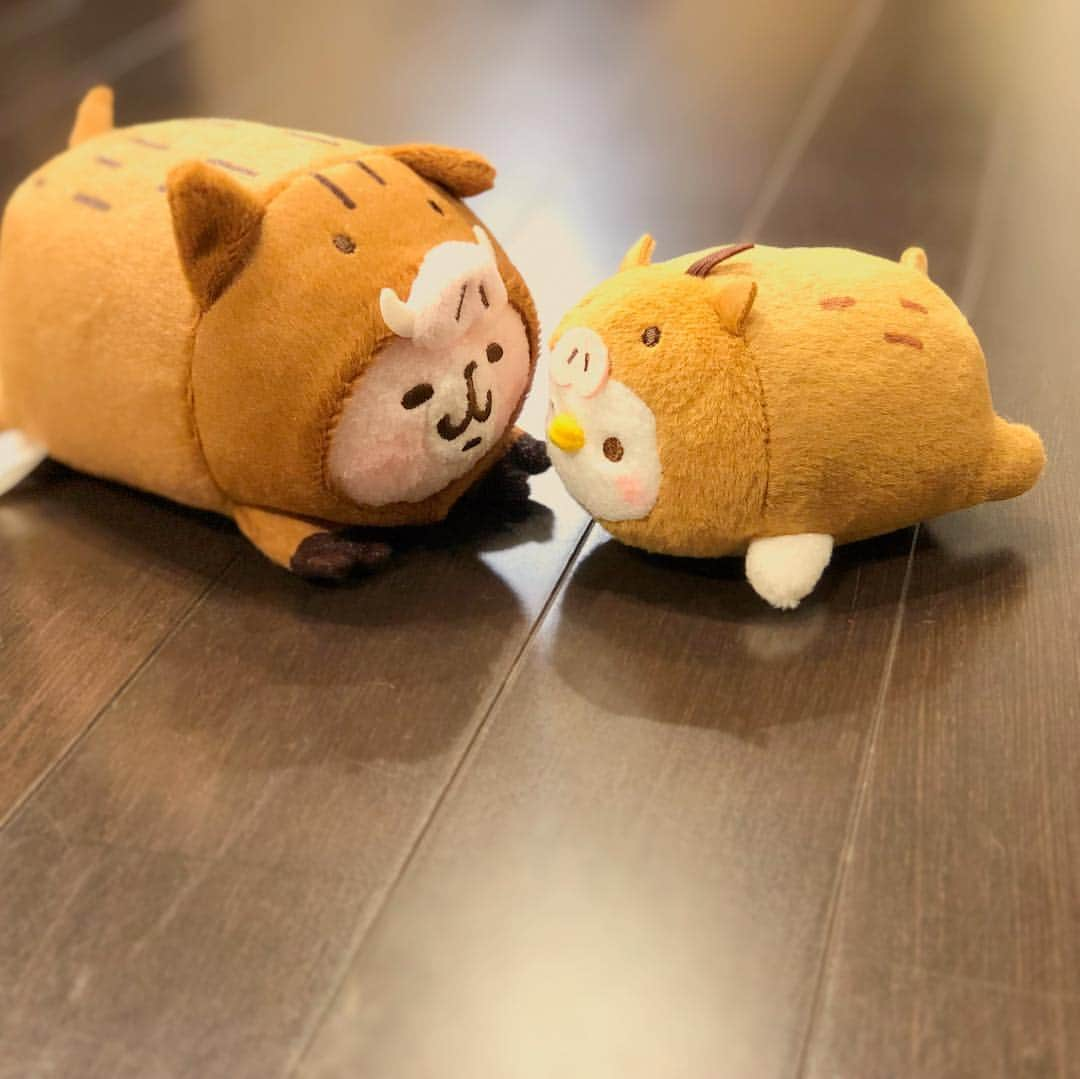 カナヘイさんのインスタグラム写真 - (カナヘイInstagram)「干支着ぐるみピスケ&うさぎ！イノシシ🐗ウリボー🐗キデイランド限定で発売中のぬいぐるみです💡 #キデイランド」12月13日 16時07分 - kanahei_