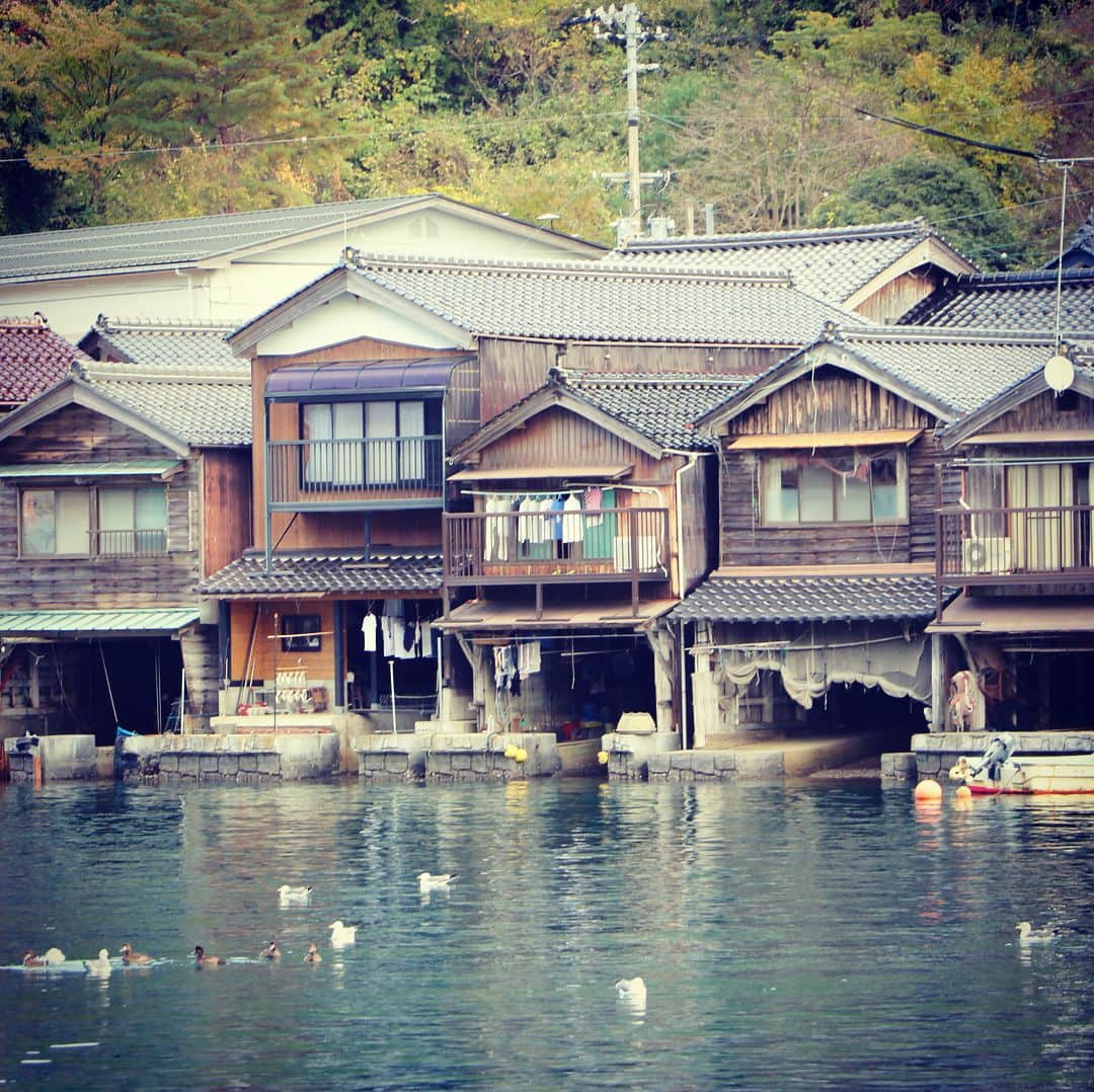 テレビ大阪「おとな旅あるき旅」さんのインスタグラム写真 - (テレビ大阪「おとな旅あるき旅」Instagram)「今週のおとな旅あるき旅（テレビ大阪）は、冬に美味しい 天橋立&伊根への旅です！この時期ならではの松葉がにや寒ブリをはじめ、日本海の幸を堪能します！  絶景もあり！温泉もあり！ 冬こそ魅力が倍増する、魅力的な名所へ！  12/15(土)18:30〜  #おとな旅あるき旅#テレビ大阪#三田村邦彦#山口実香#京都#天橋立#伊根#日本三景#股のぞき#舟屋#松葉がに#伊根ブリ#智恵餅」12月13日 16時26分 - tvo.otonatabi