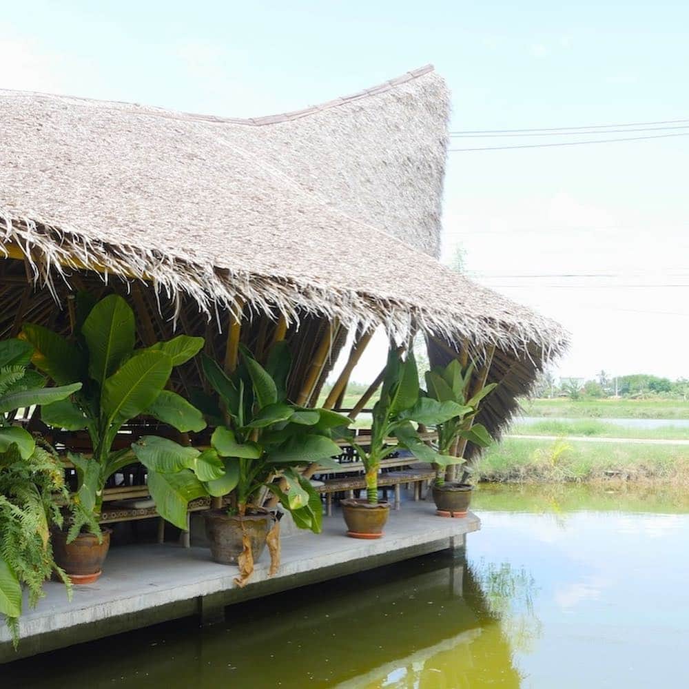 タイ国政府観光庁さんのインスタグラム写真 - (タイ国政府観光庁Instagram)「＜タイ美食レストラン🍽＞﻿ ﻿ 今回は、水上マーケットで有名なアンパワーにある絶品タイ料理レストラン「KaoMai-PlaMun」 @kaomai.plamun へGO😋﻿ ﻿ まるで池に浮いているボートのような外観が印象的なレストラン。中には広々とした空間が広がり、リゾート気分でお食事が味わえます✨﻿ ﻿ 新鮮なシーフードを使った家庭的なタイ料理が評判で、バンコクなどから多くのファンが訪れます🦐﻿ ﻿ こだわりの食材を用いたメニューは、どれを頼んでも外れなしの美味しさ👍﻿ ﻿ #タイ美食レストラン #タイ #バンコク #アンパワー #アンパワー水上マーケット #シーフード #タイ料理 #タイレストラン #タイ旅行 #旅好きな人と繋がりたい #はじめてのタイ #もっと知りタイ #こんなタイ知らなかった #thailand #bangkok #amphawa #amphawafloatingmarket #kaomaiplamun #thairestaurant #amazingthailand #thailandtravel #thailandtrip #thai #thaistagram #lovethailand #genic_thailand」12月13日 18時55分 - amazingthailandjp