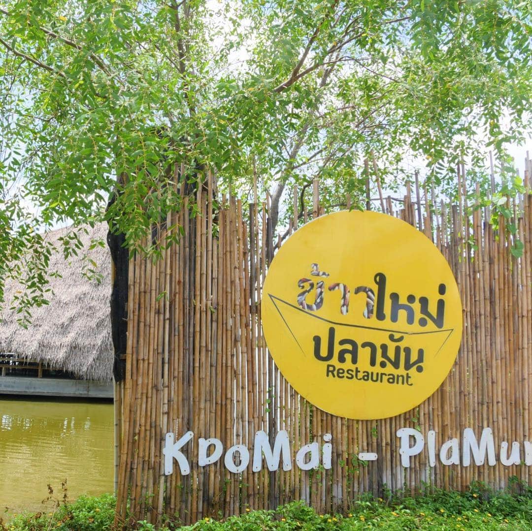 タイ国政府観光庁さんのインスタグラム写真 - (タイ国政府観光庁Instagram)「＜タイ美食レストラン🍽＞﻿ ﻿ 今回は、水上マーケットで有名なアンパワーにある絶品タイ料理レストラン「KaoMai-PlaMun」 @kaomai.plamun へGO😋﻿ ﻿ まるで池に浮いているボートのような外観が印象的なレストラン。中には広々とした空間が広がり、リゾート気分でお食事が味わえます✨﻿ ﻿ 新鮮なシーフードを使った家庭的なタイ料理が評判で、バンコクなどから多くのファンが訪れます🦐﻿ ﻿ こだわりの食材を用いたメニューは、どれを頼んでも外れなしの美味しさ👍﻿ ﻿ #タイ美食レストラン #タイ #バンコク #アンパワー #アンパワー水上マーケット #シーフード #タイ料理 #タイレストラン #タイ旅行 #旅好きな人と繋がりたい #はじめてのタイ #もっと知りタイ #こんなタイ知らなかった #thailand #bangkok #amphawa #amphawafloatingmarket #kaomaiplamun #thairestaurant #amazingthailand #thailandtravel #thailandtrip #thai #thaistagram #lovethailand #genic_thailand」12月13日 18時55分 - amazingthailandjp